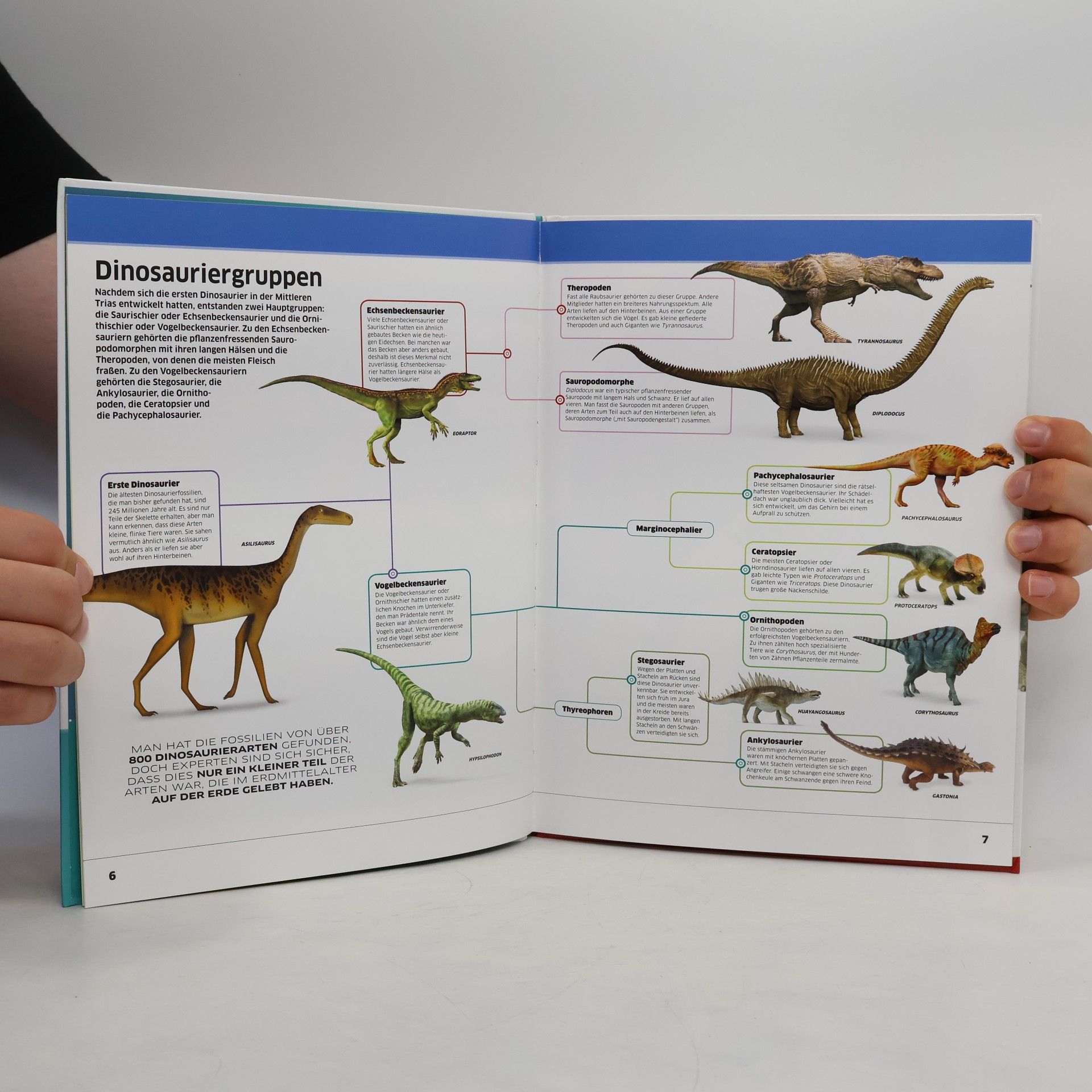 Autorenkollektiv Dinosaurier. Happy Meal Sonderausgabe