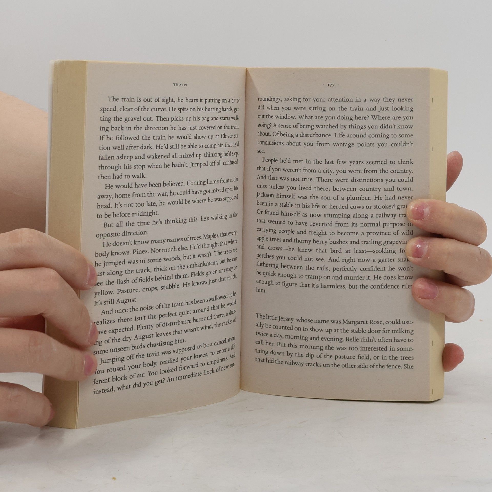 Alice Munro Dear Life