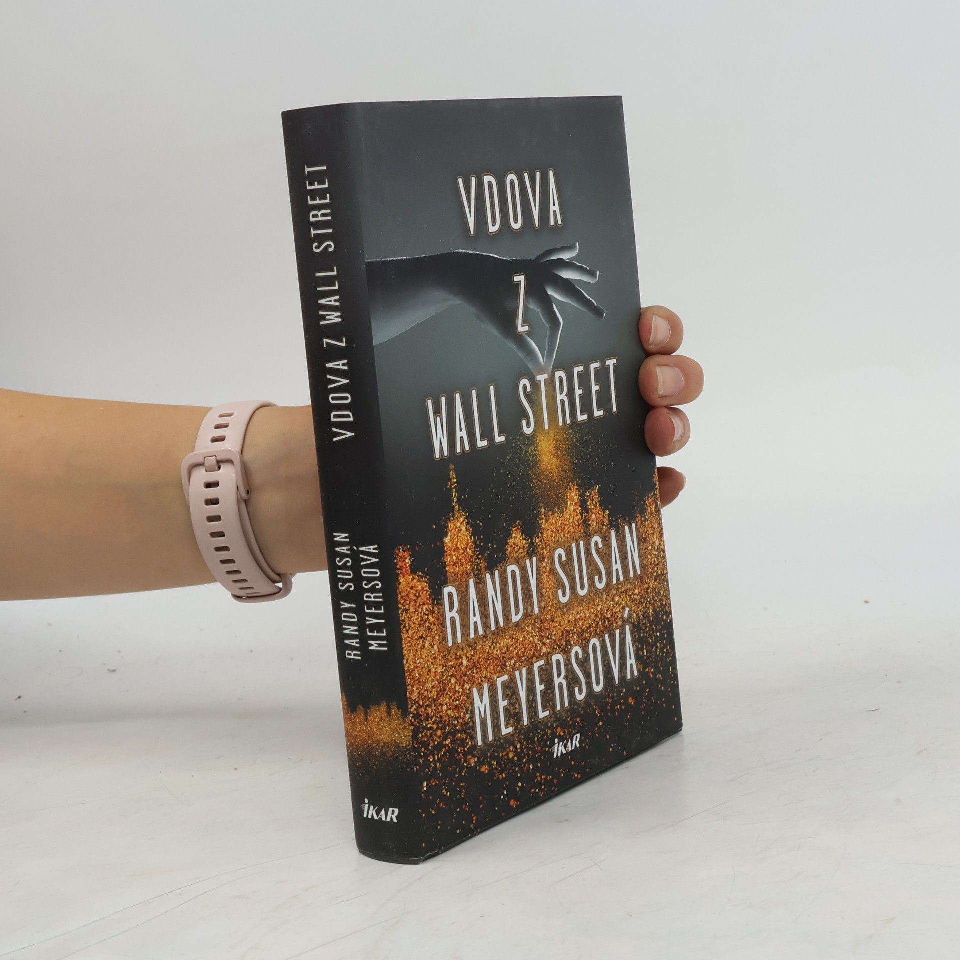 Randy Susan Meyers Vdova z Wall Street