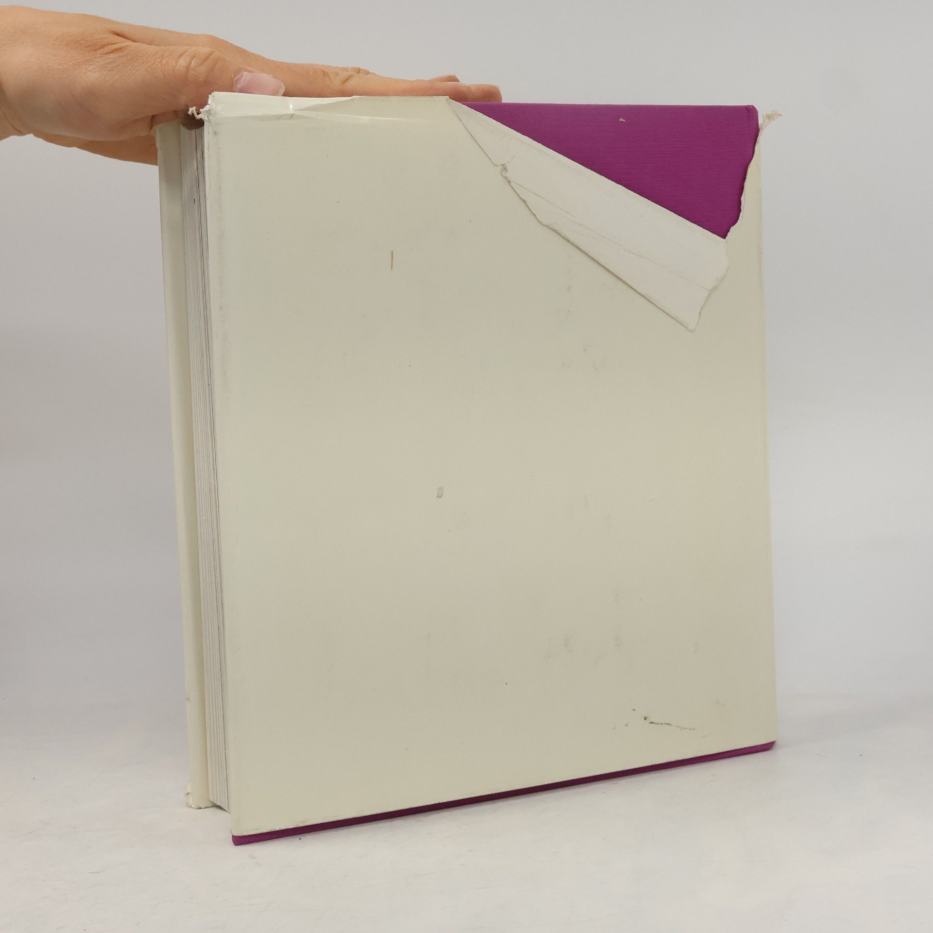 Hans-Joachim Petersen Der Maler und sein Modell