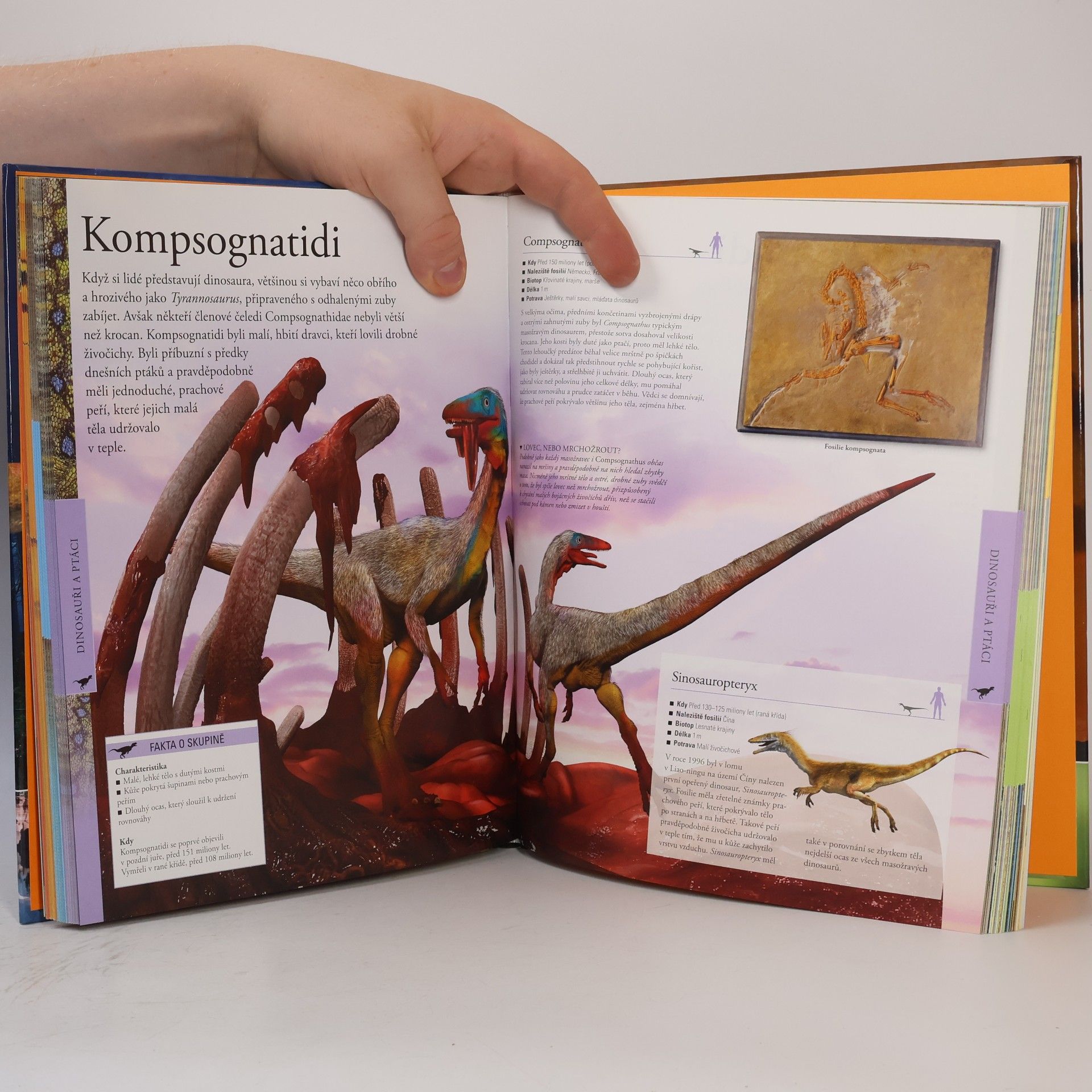 Jan Kadlec Dinosauři: Dětská obrazová encyklopedie