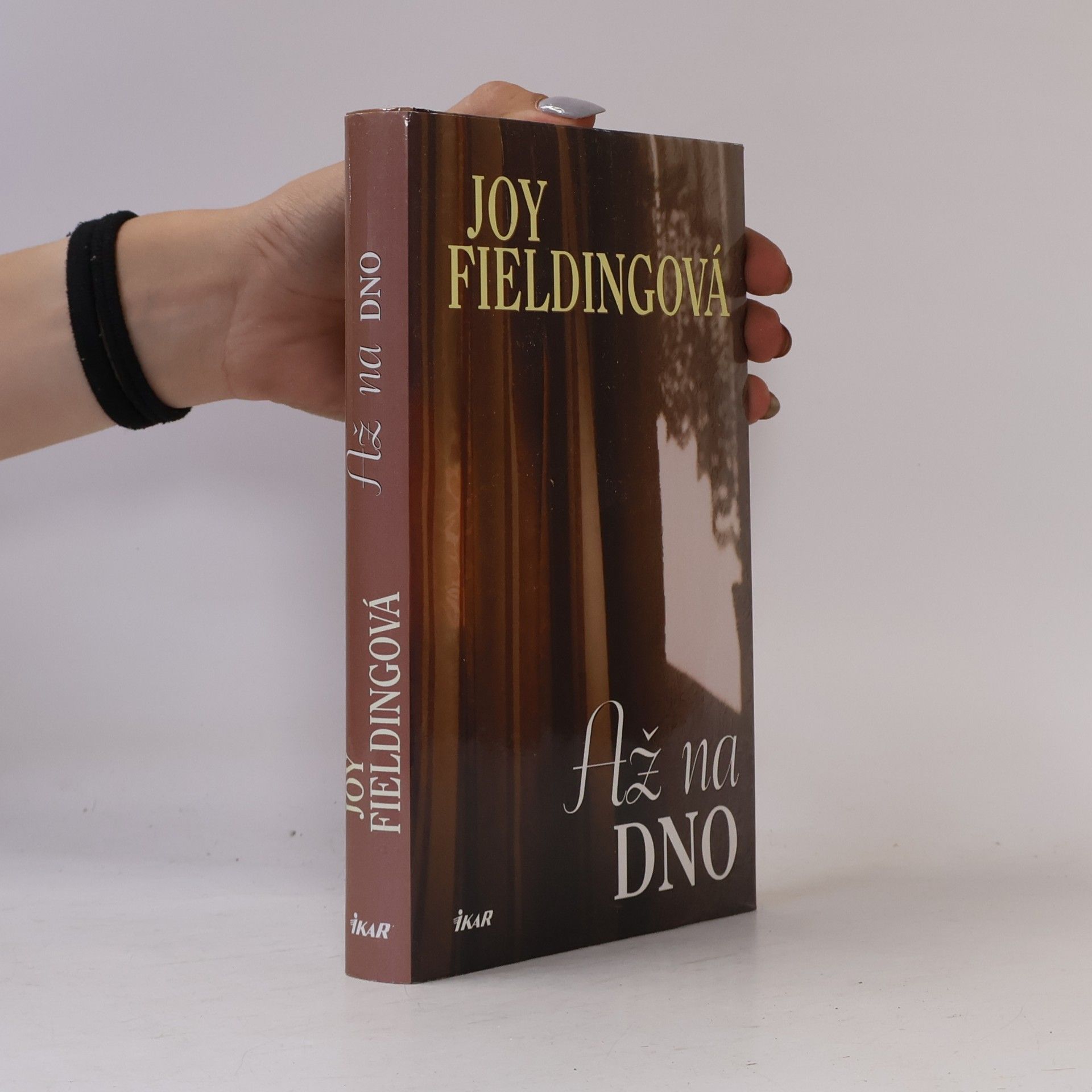 Joy Fielding Až na dno
