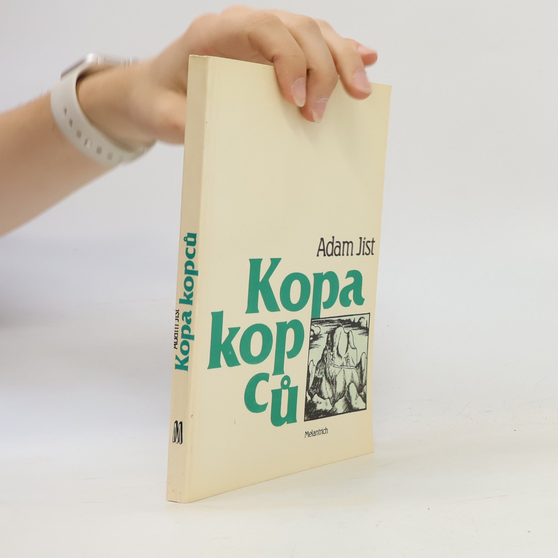 Kopa kopců