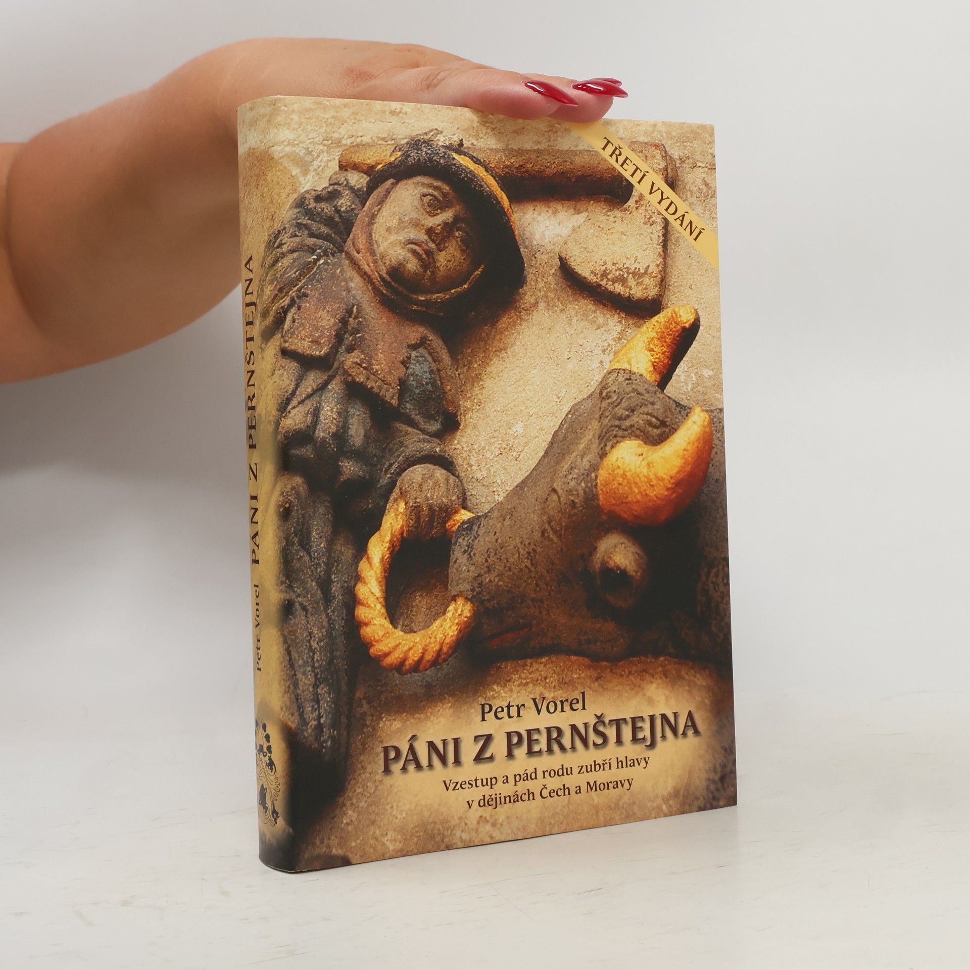 Petr Vorel Páni z Pernštejna