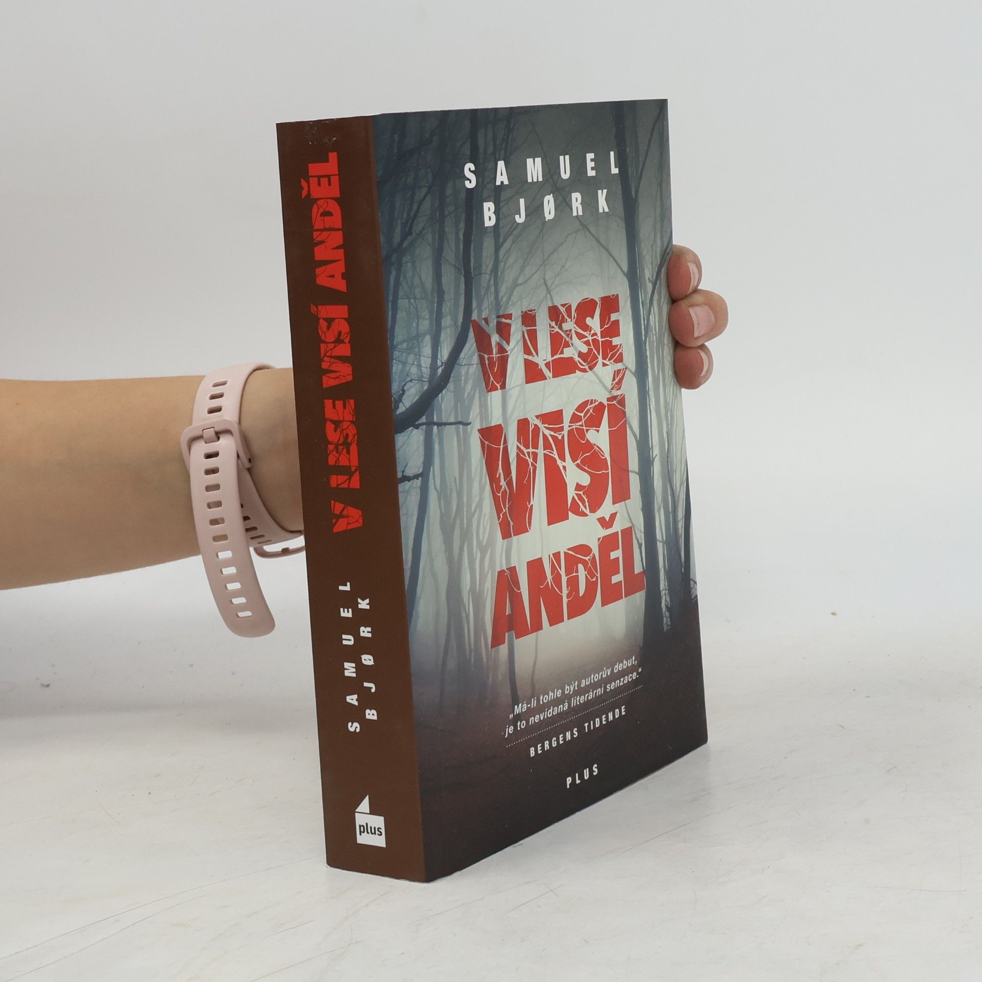 Samuel Bjork V lese visí anděl
