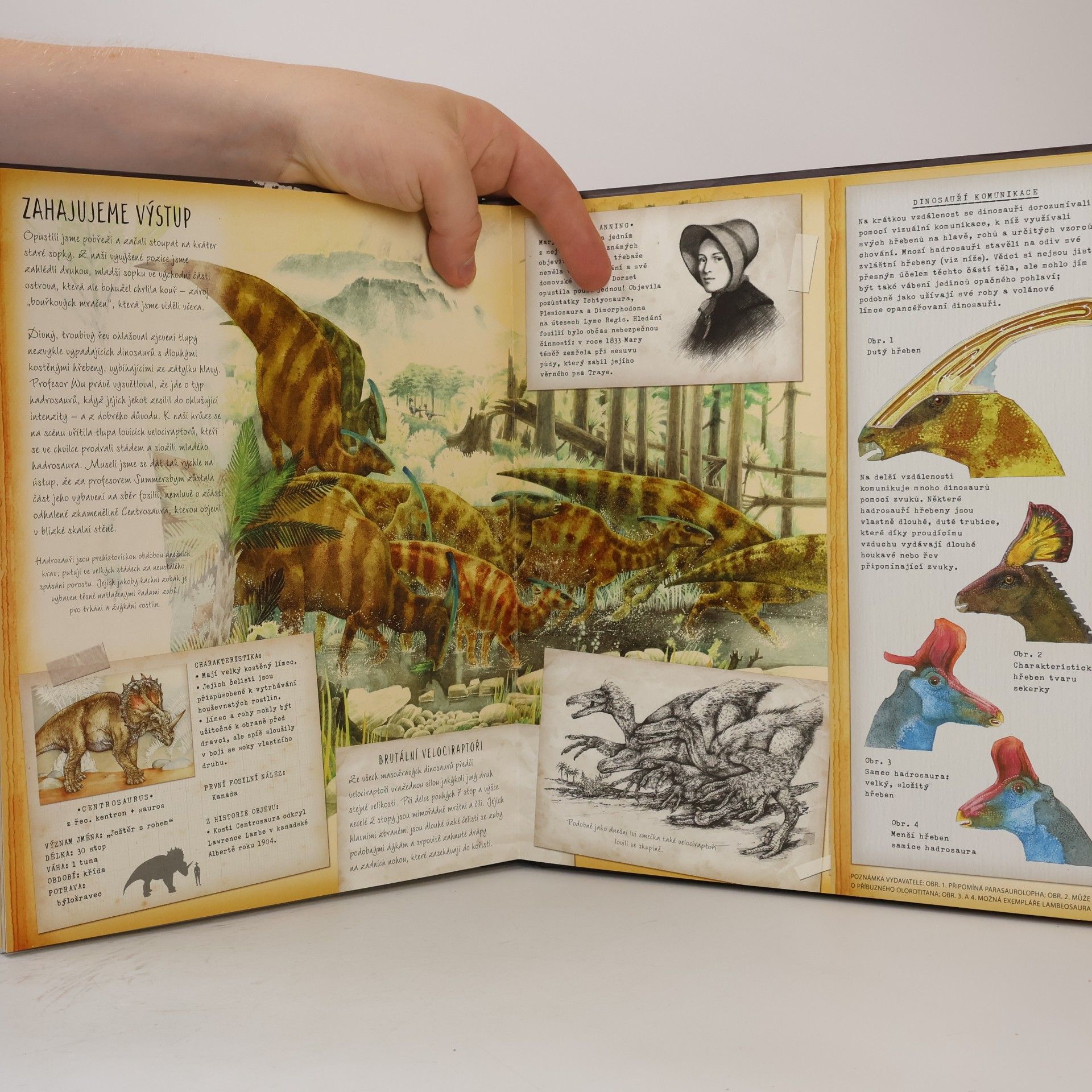 Autorenkollektiv Dinosaurologie. Hledání ztraceného světa