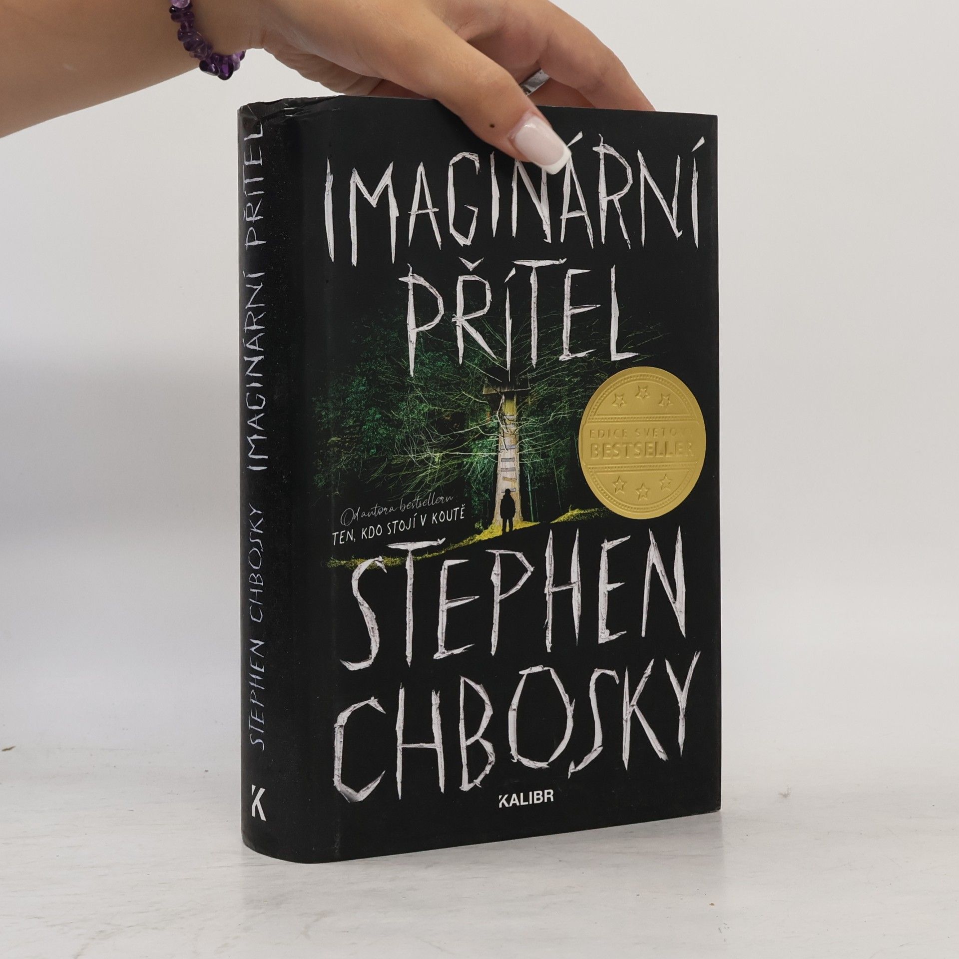 Stephen Chbosky Imaginární přítel