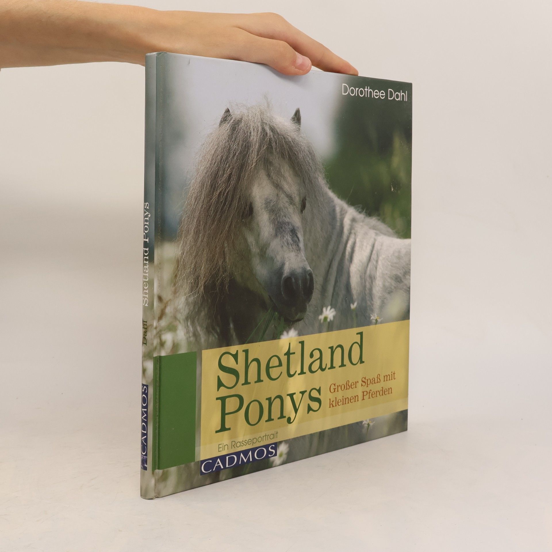 Dorothee Dahl Shetlandponys