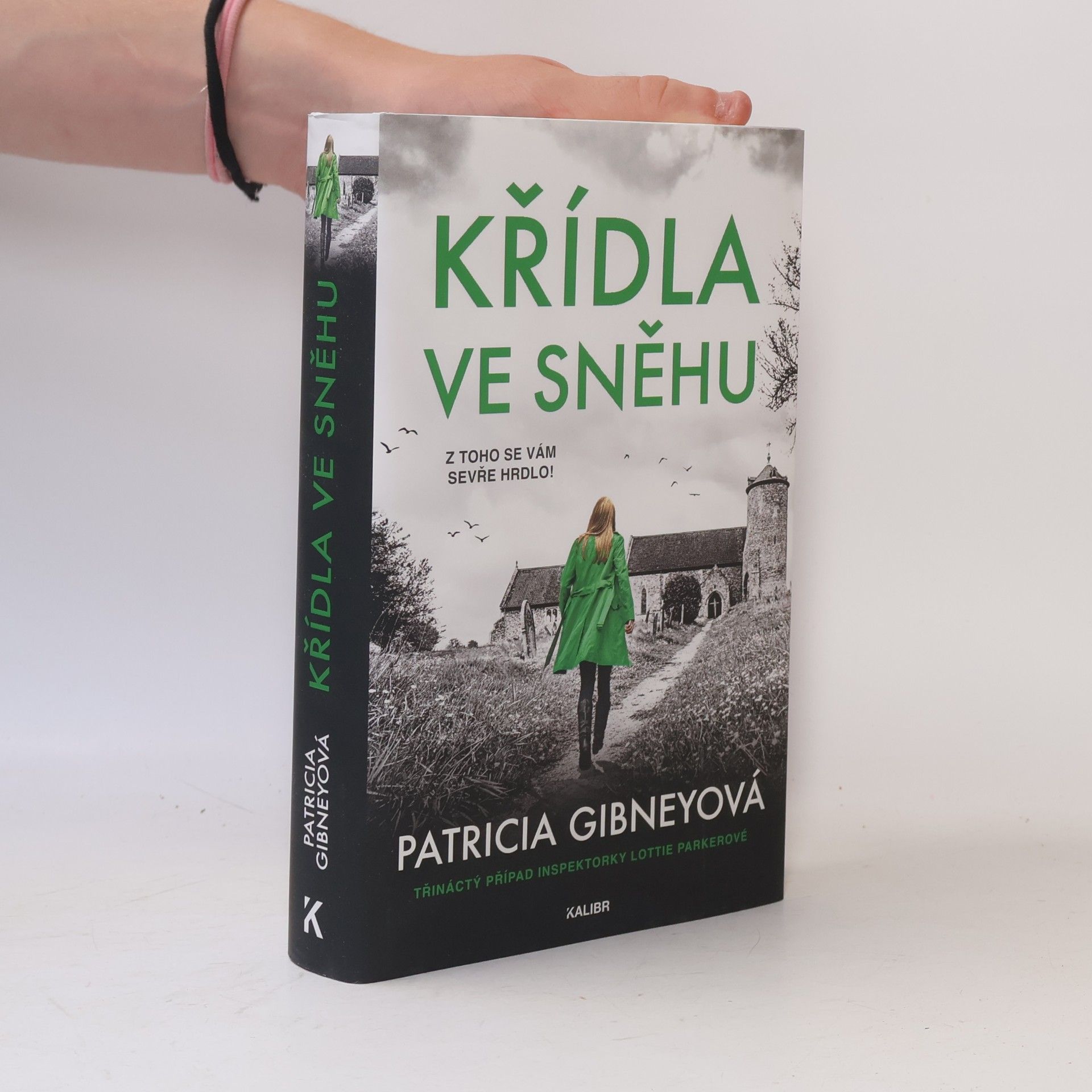 Patricia Gibney Křídla ve sněhu