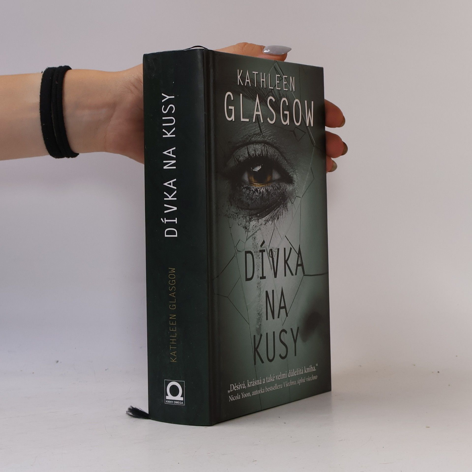 Kathleen Glasgow Dívka na kusy