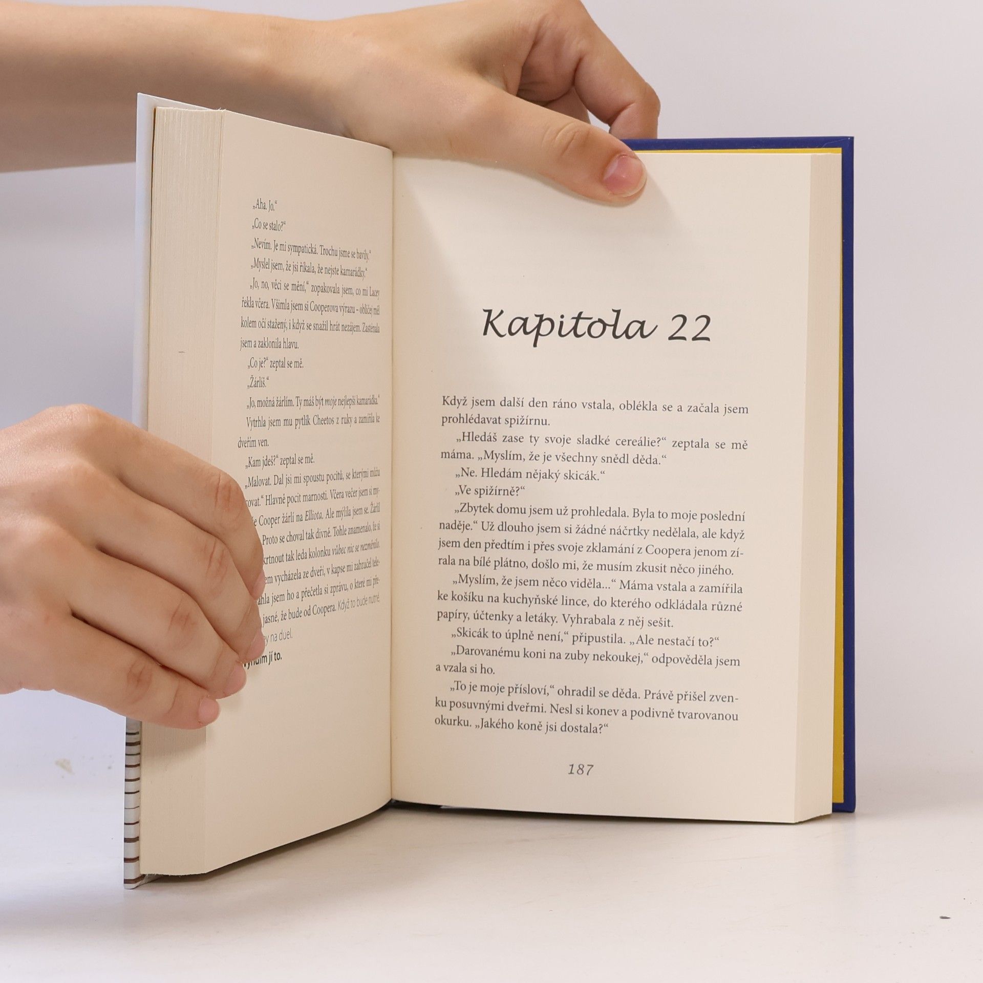 Kasie West Láska a jiné úkoly