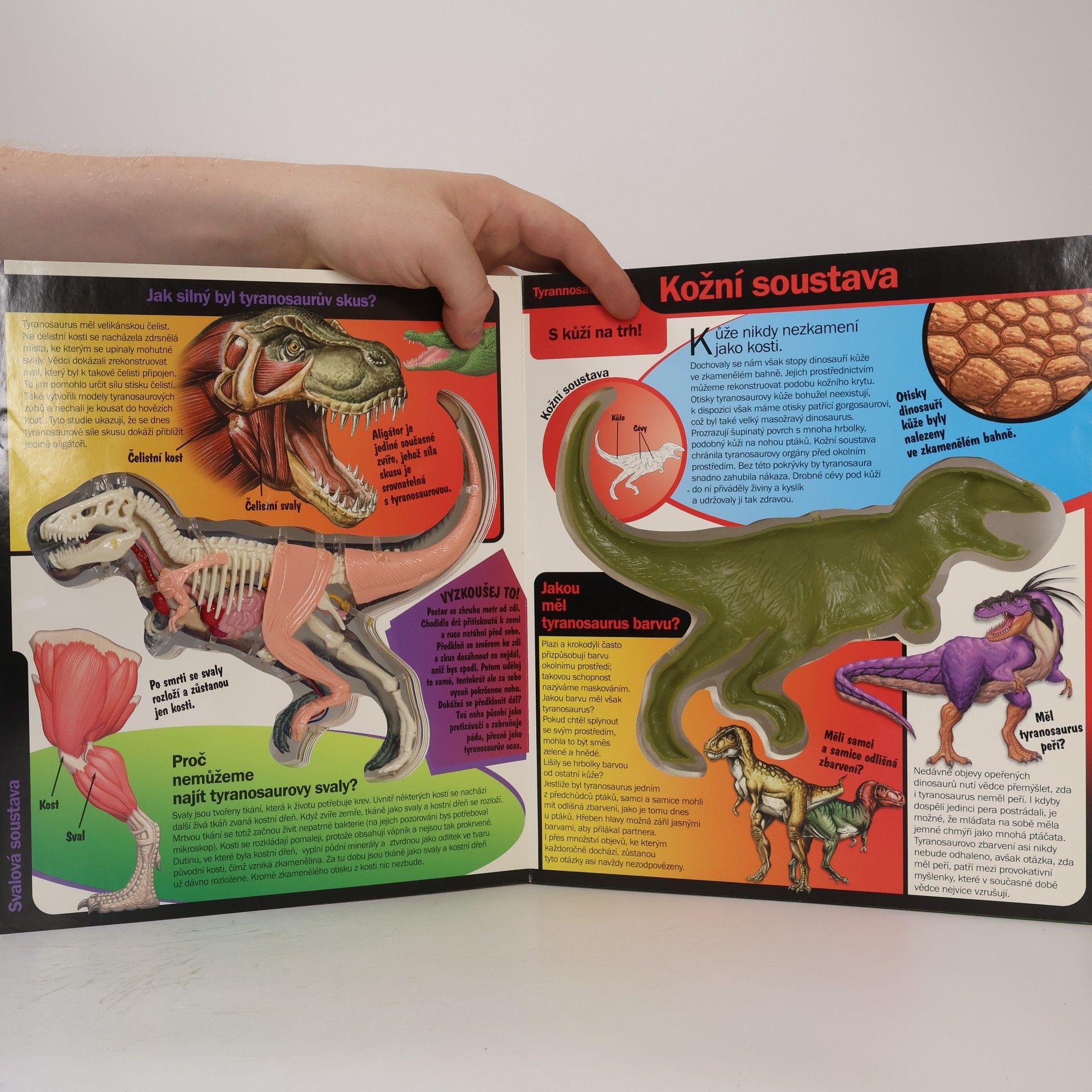 Dennis Schatz Tyrannosaurus Rex 3D