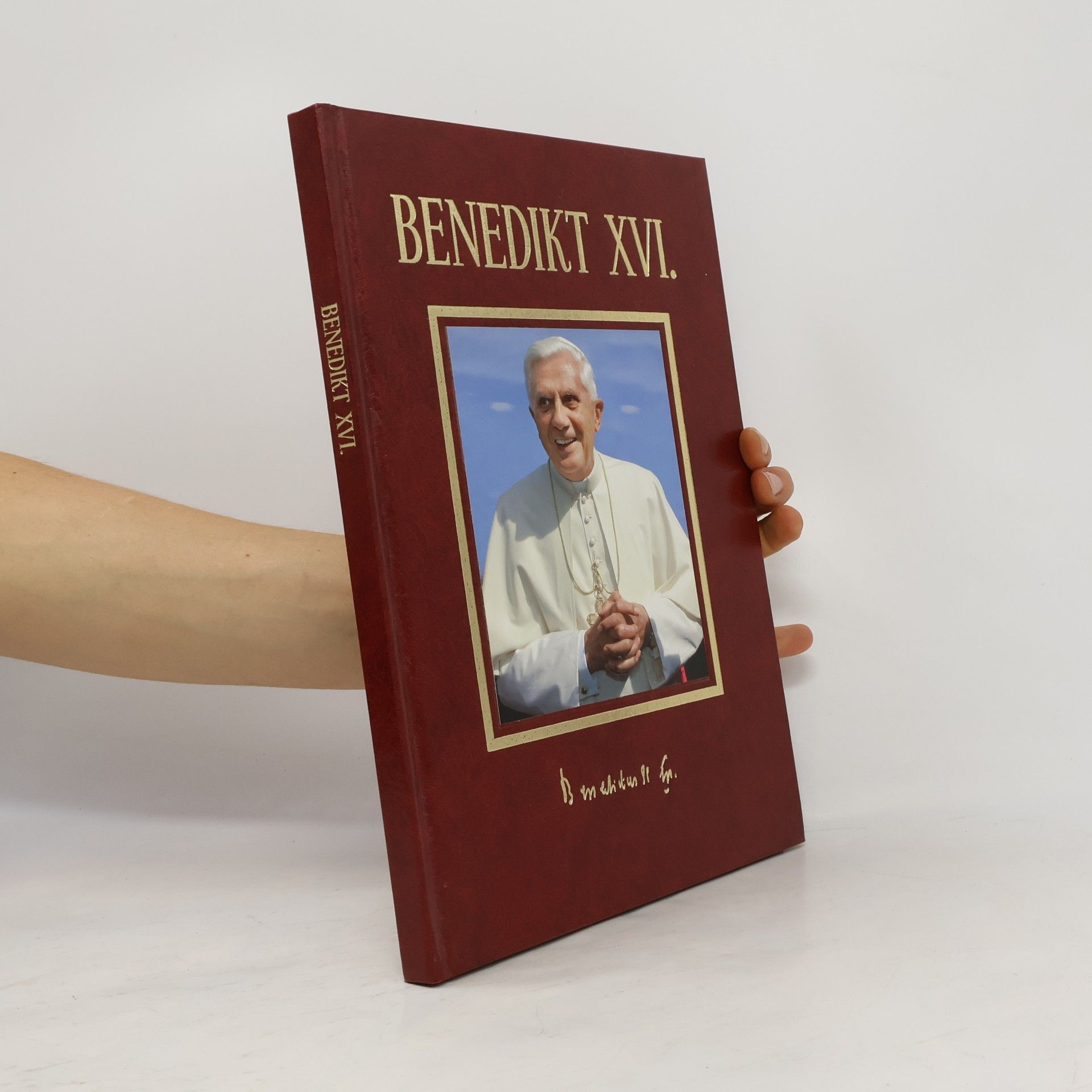 Benedikt XVI. - Most mezi břehy