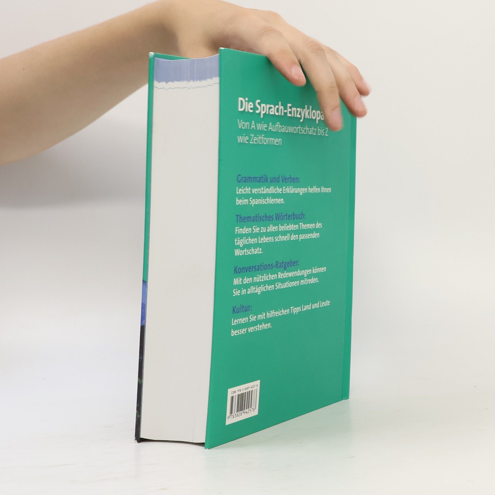 Das große Handbuch Spanisch