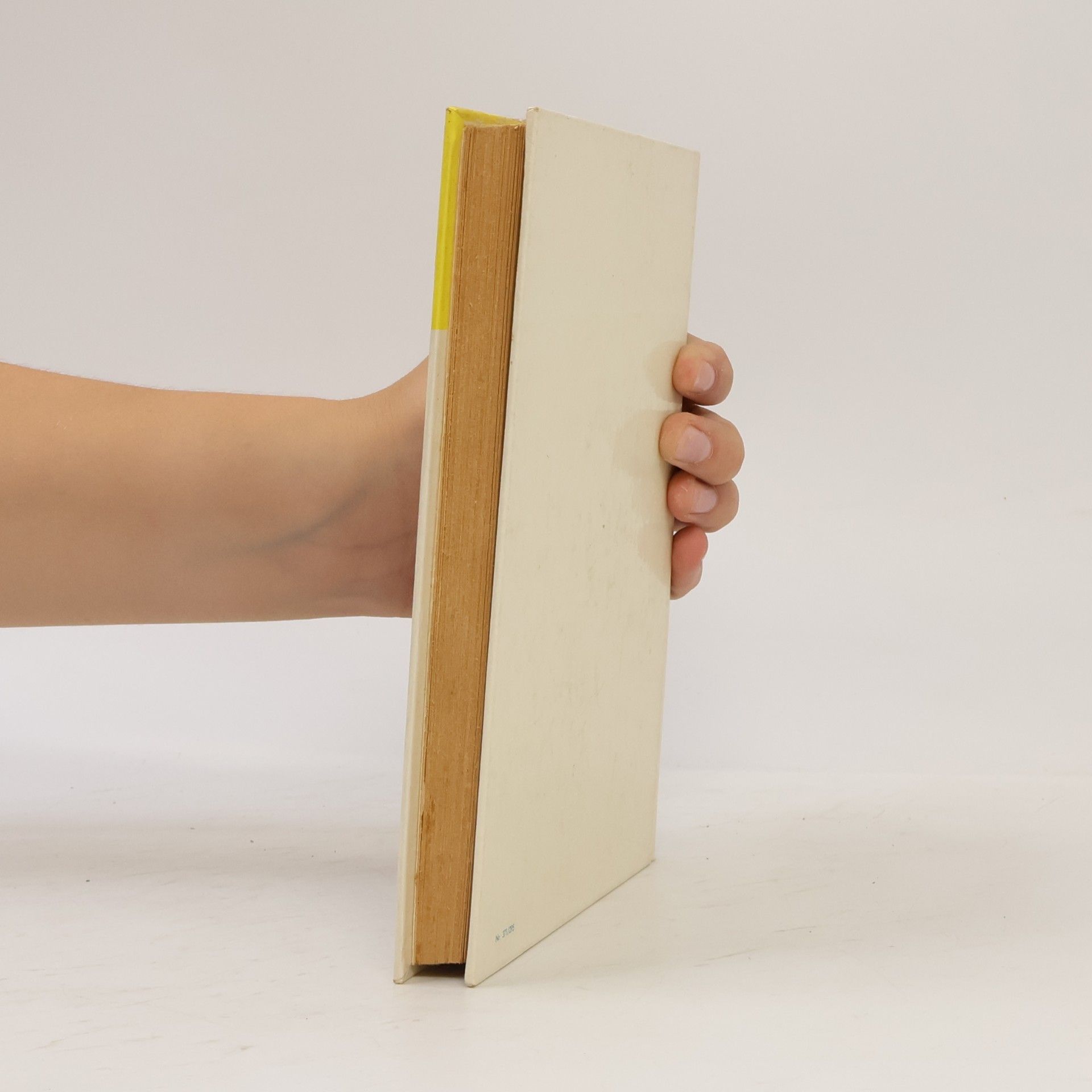 Ernst Heyda Slim Shatters großer Fall