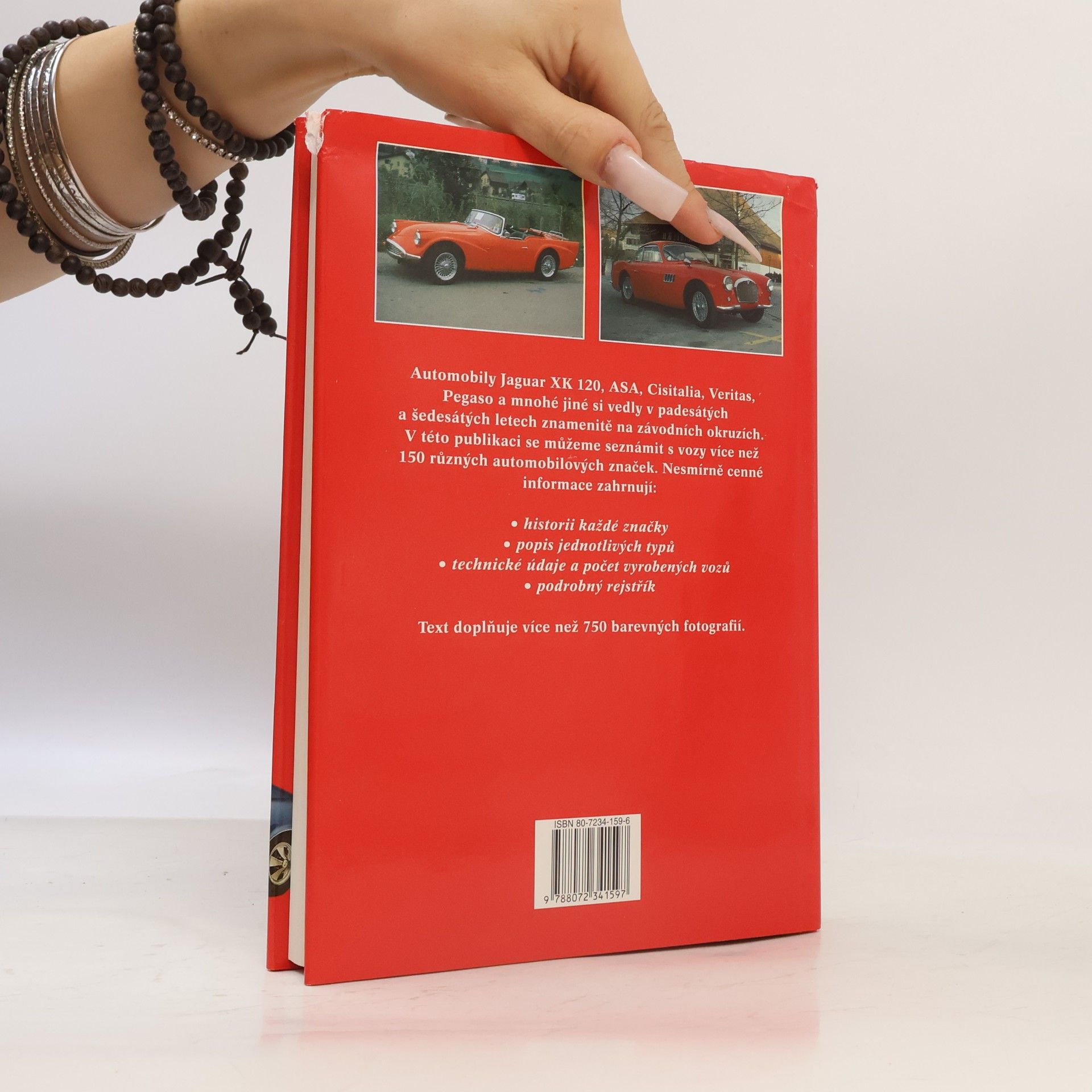 Autorenkollektiv Encyklopedie sportovních vozů