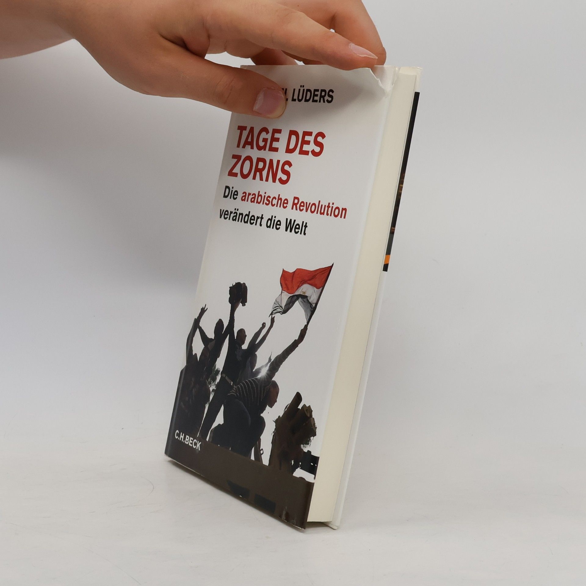 Michael Lüders Tage des Zorns