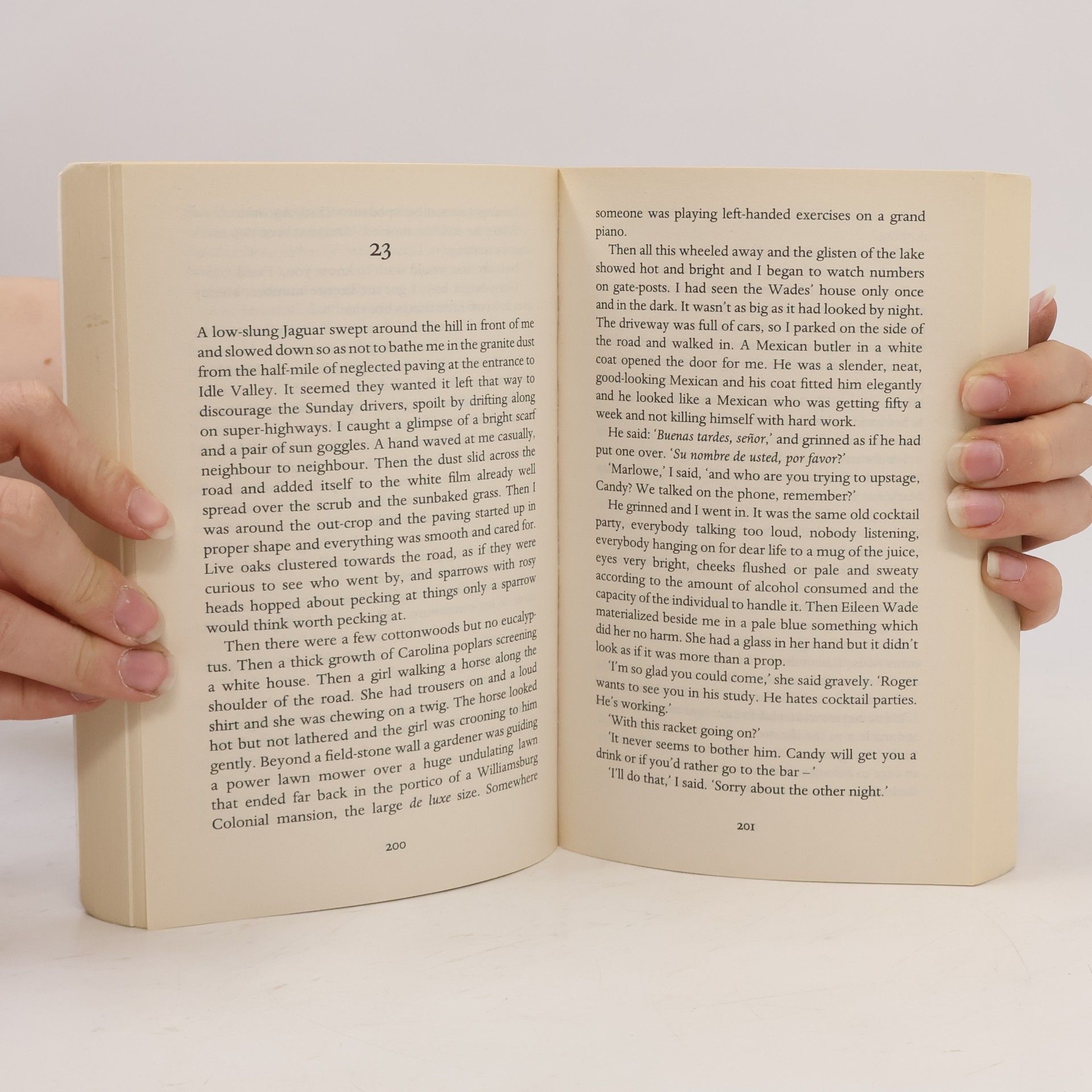 Raymond Chandler The Long Good-bye