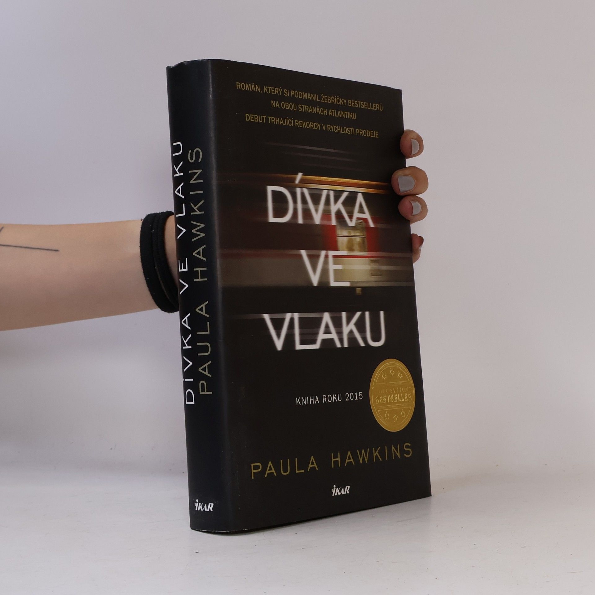 Dívka ve vlaku