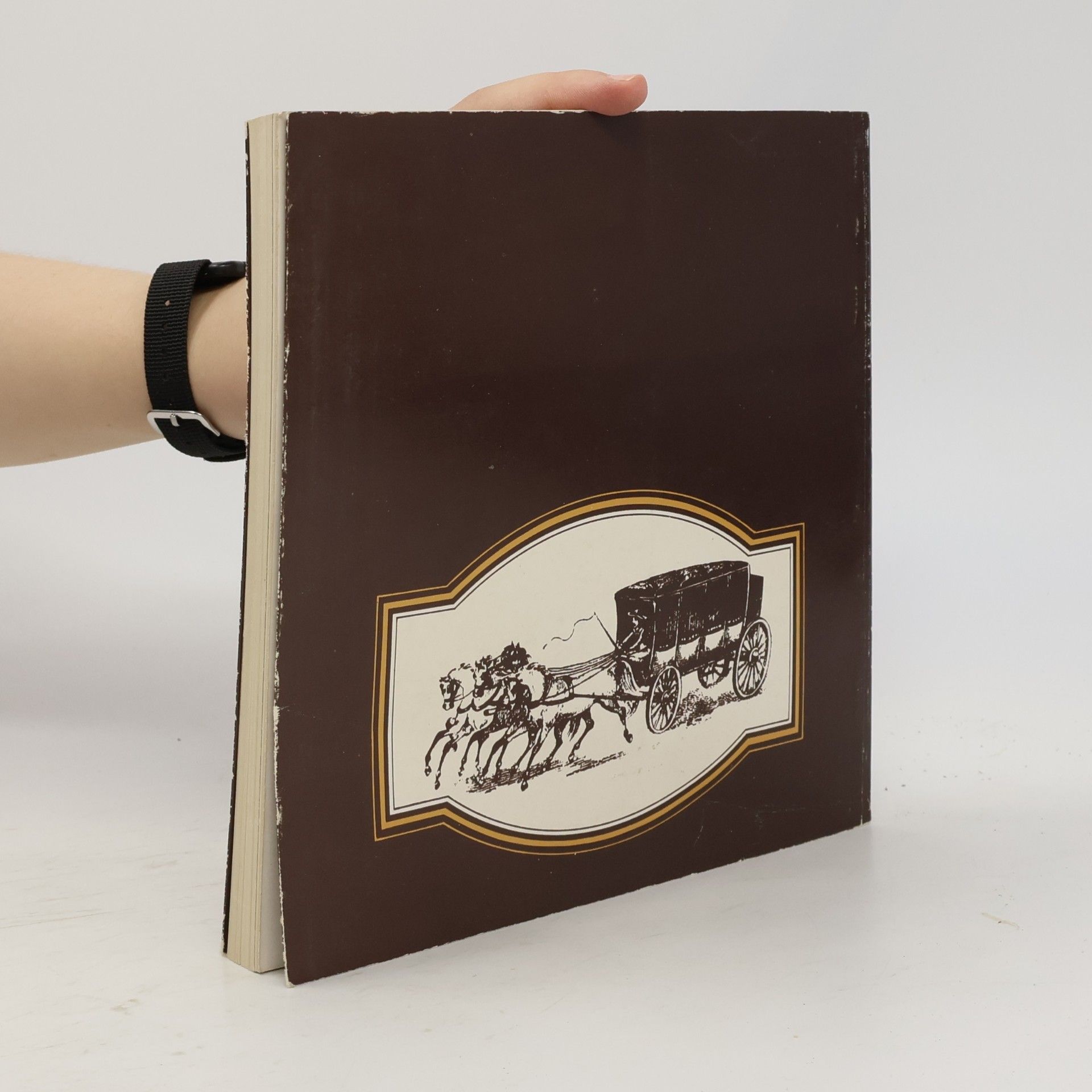 Collectif d'auteurs Osobnosti európskej hudby a Slovensko