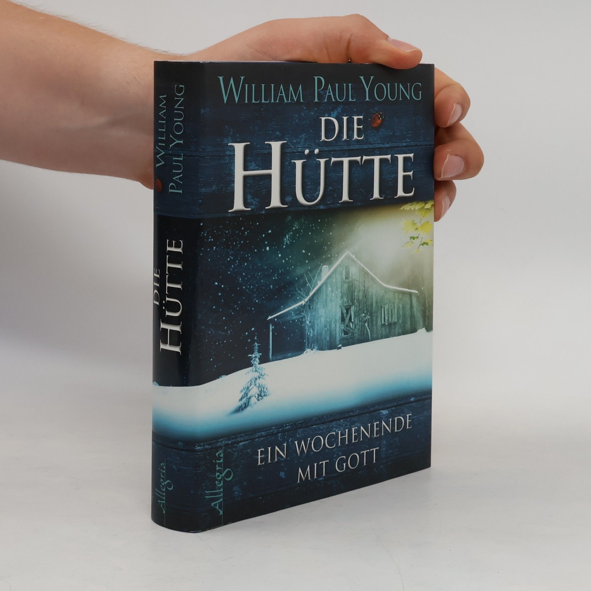 William P. Young Die Hütte