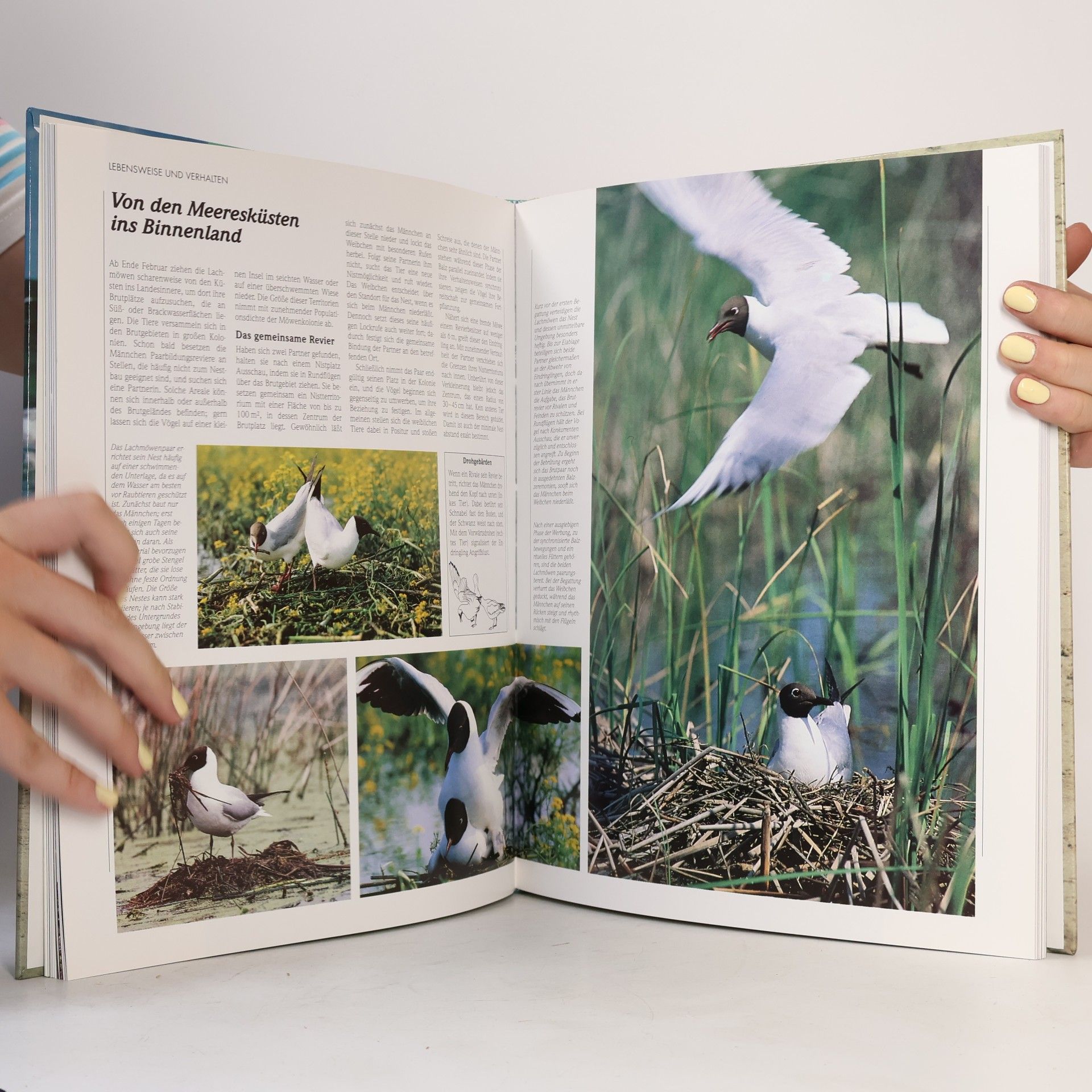 Autores varios Lebendige Wildnis : Tiere der Strände und Inseln