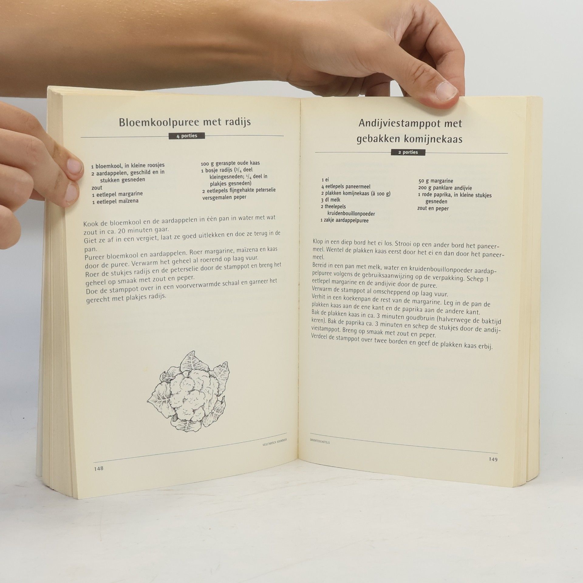 Paulien Hageman-Boekee Vegetarisch kookboek