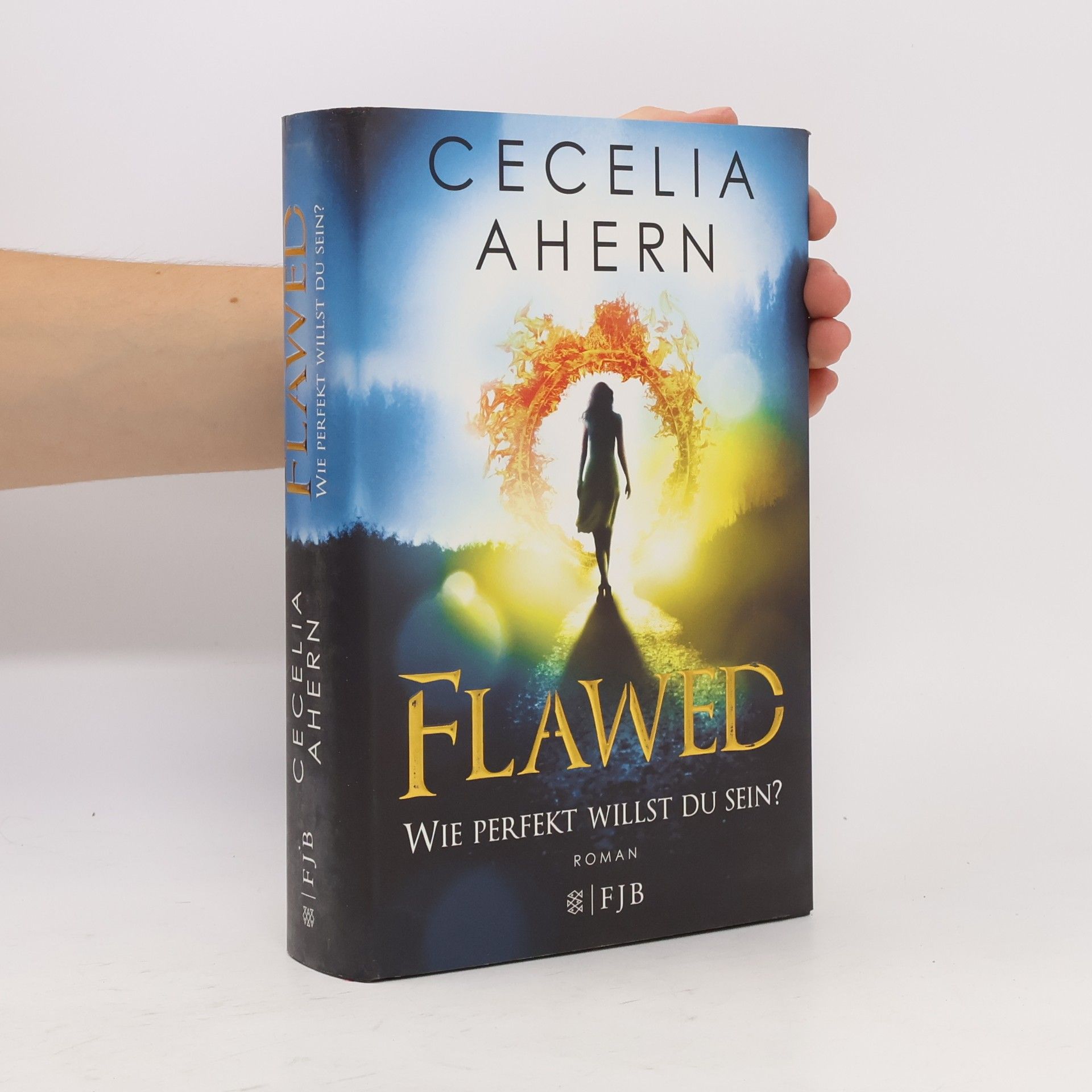 Cecelia Ahern Flawed - wie perfekt willst du sein?