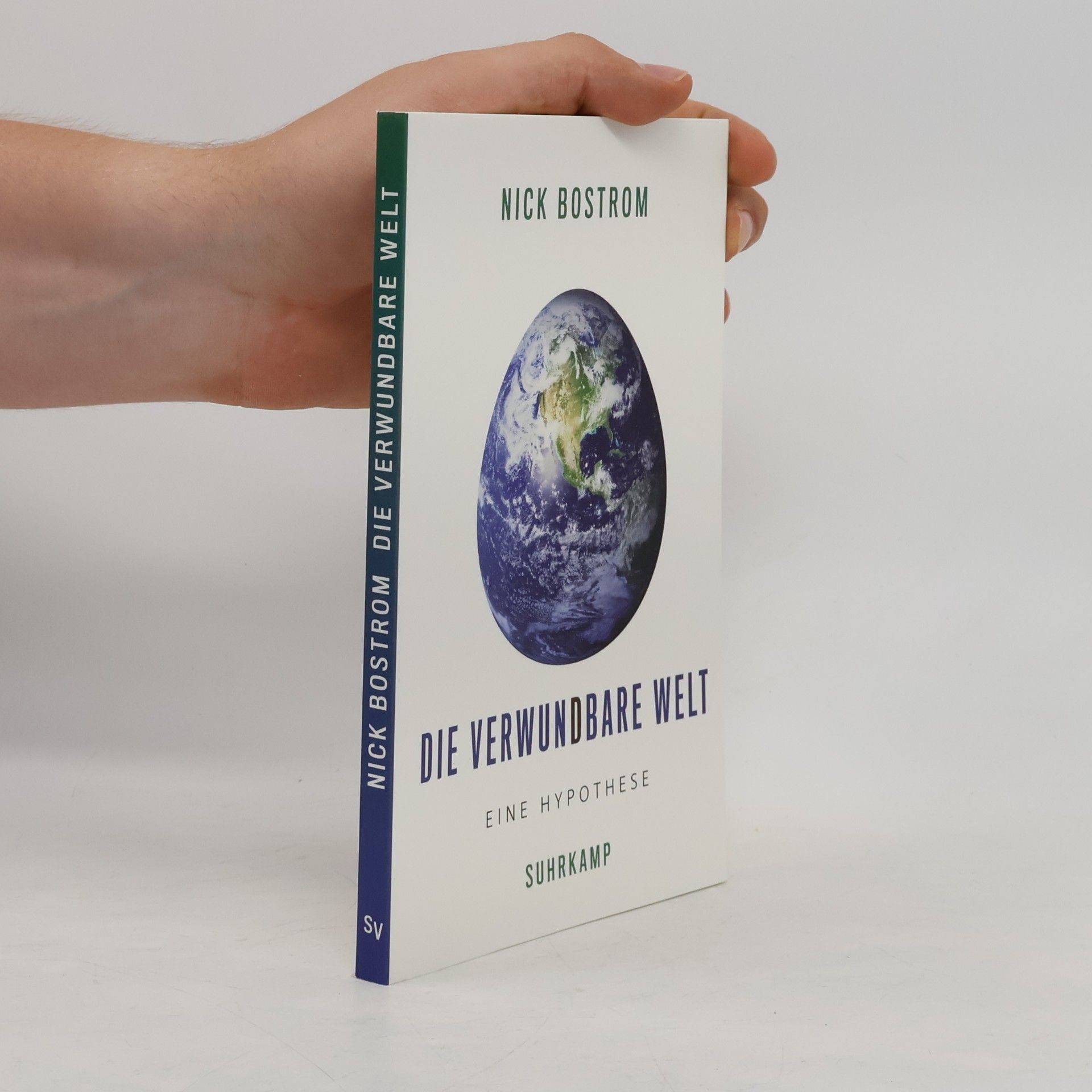Nick Bostrom Die verwundbare Welt