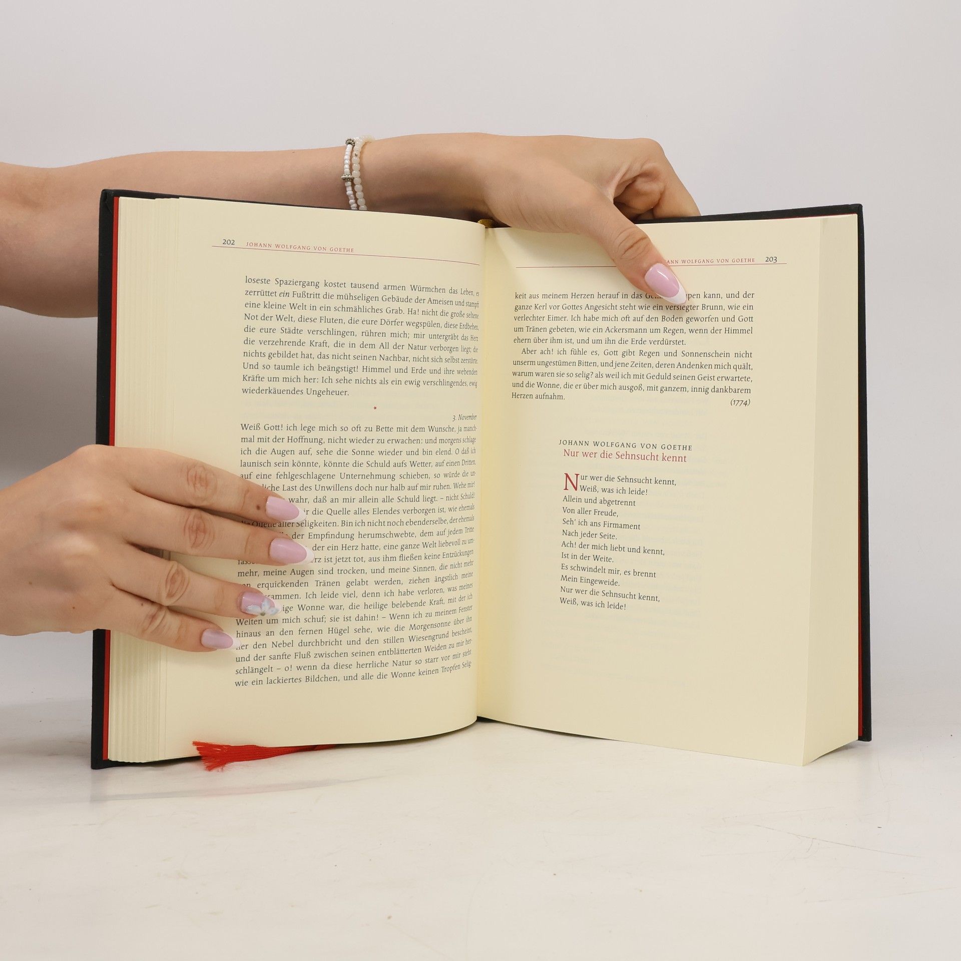 Johannes Thiele Das Buch der Deutschen