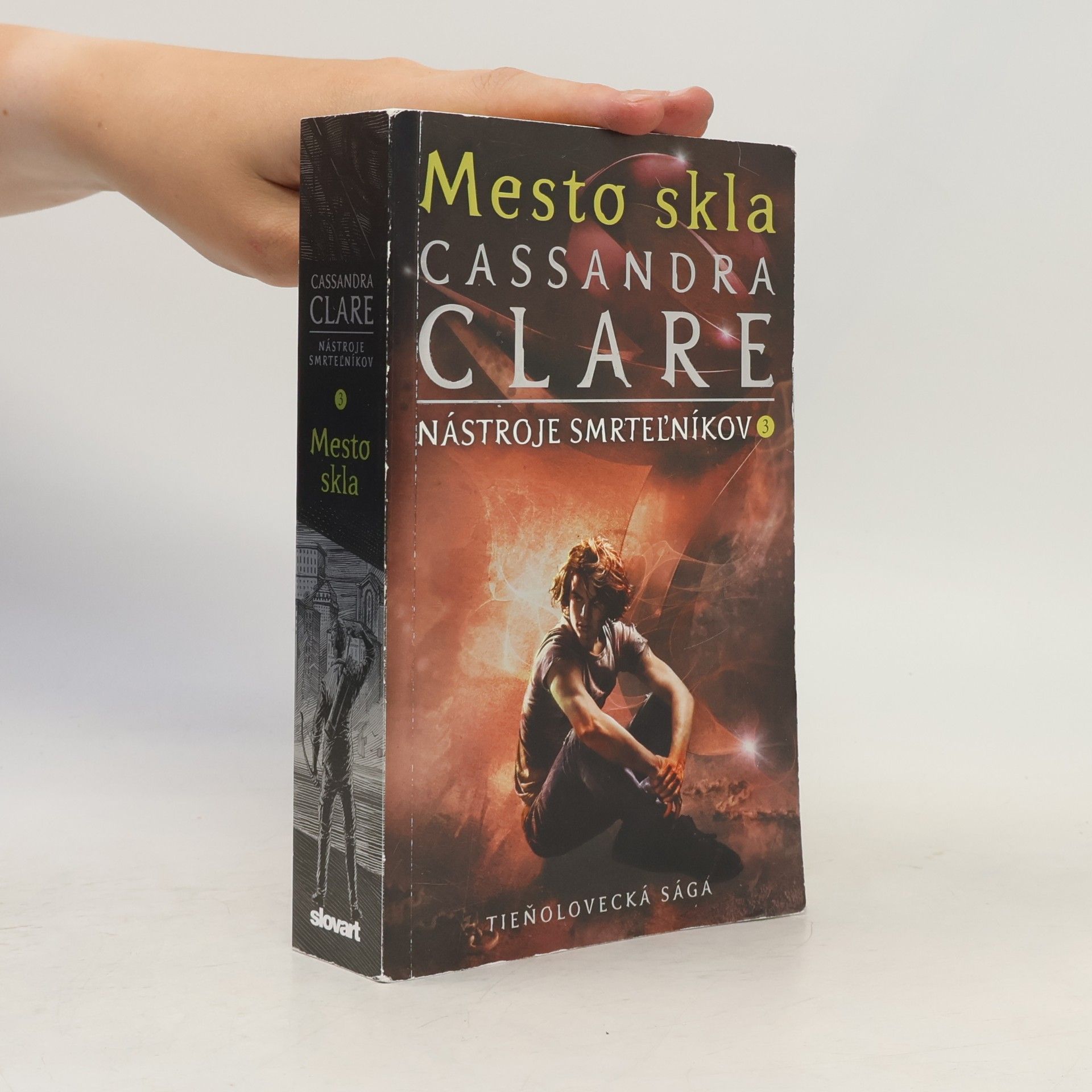 Cassandra Clare Mesto skla