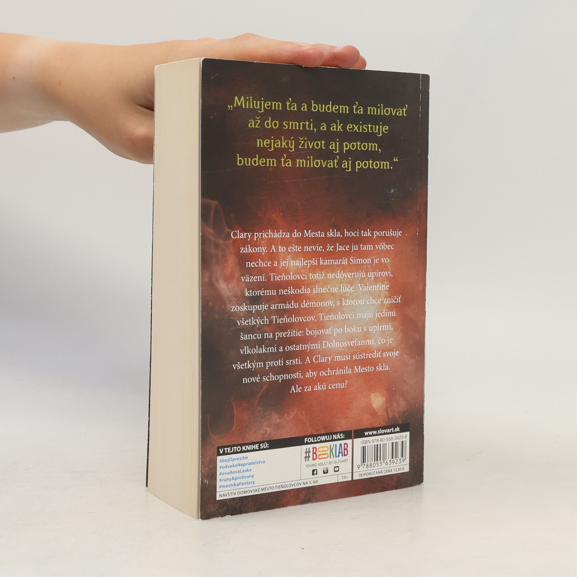 Cassandra Clare Mesto skla