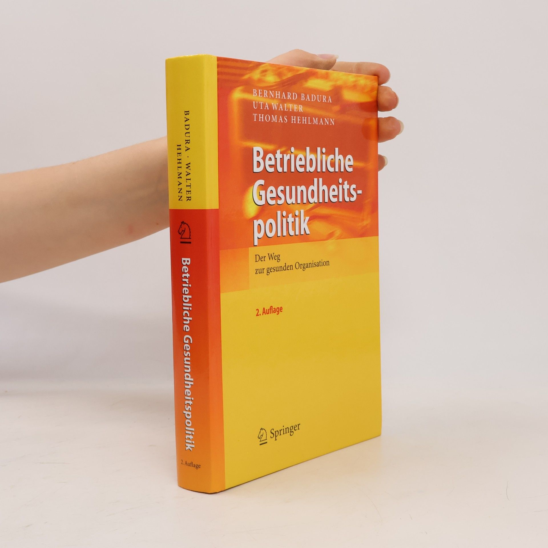 Bernhard Badura Betriebliche Gesundheitspolitik