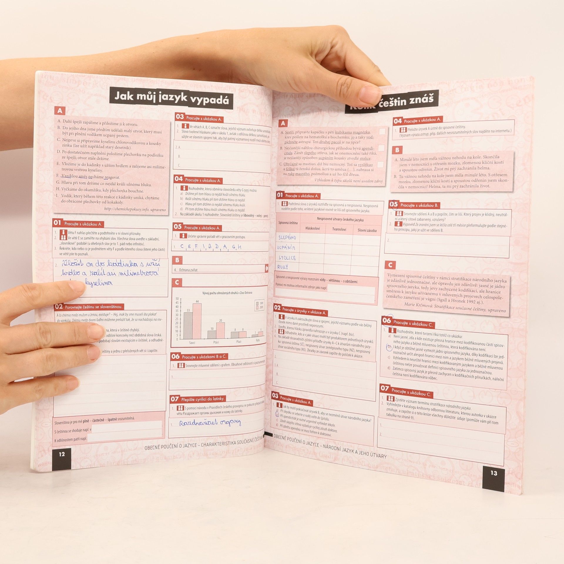 Autorenkollektiv Český jazyk a komunikace pro střední školy. 1. díl, Pracovní sešit
