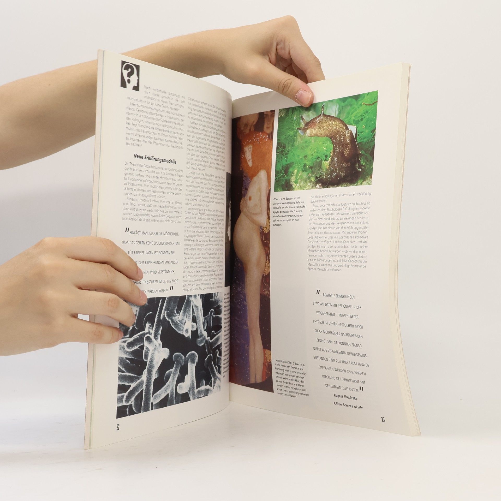 Autorenkollektiv Wunder des Geistes