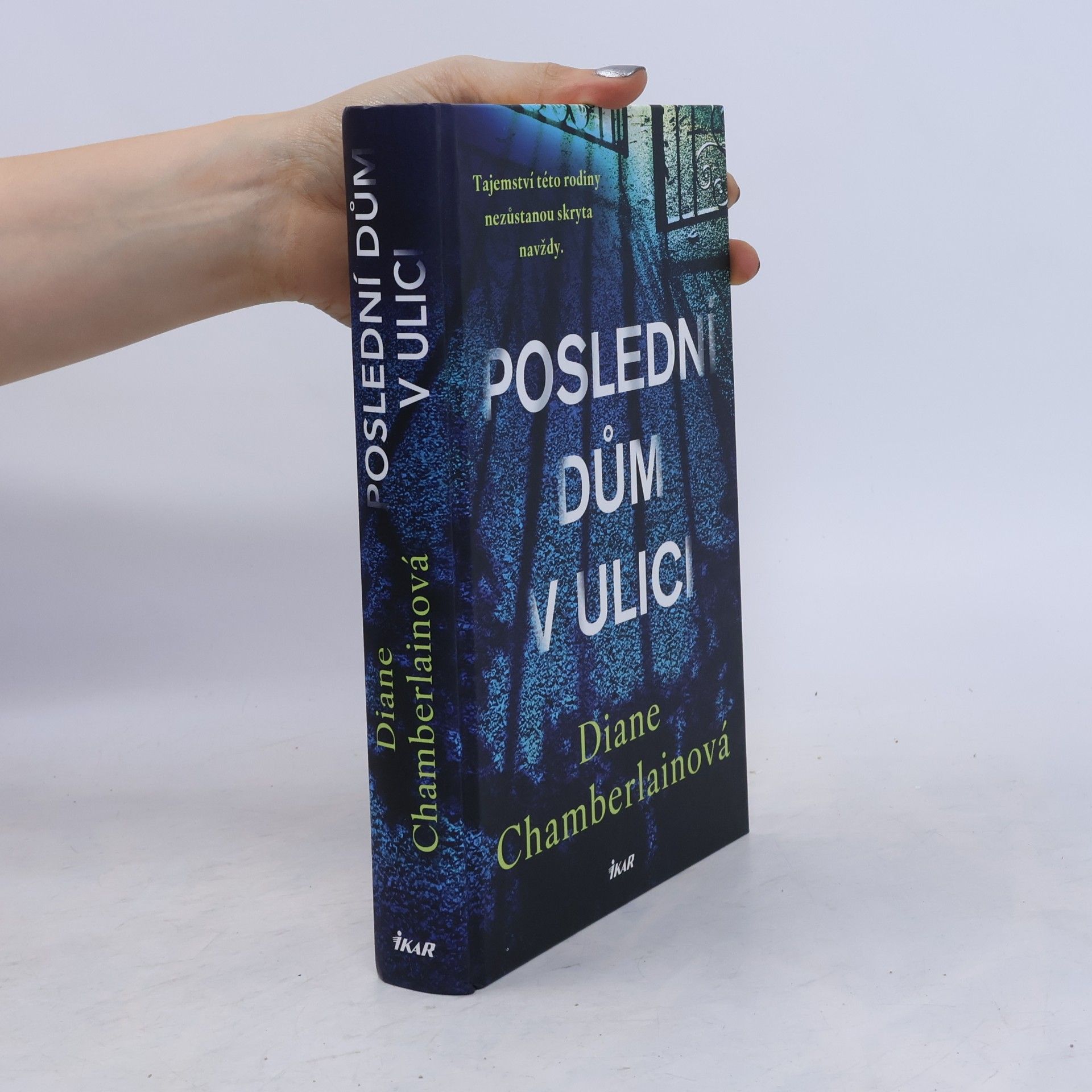 Diane Chamberlain Poslední dům v ulici