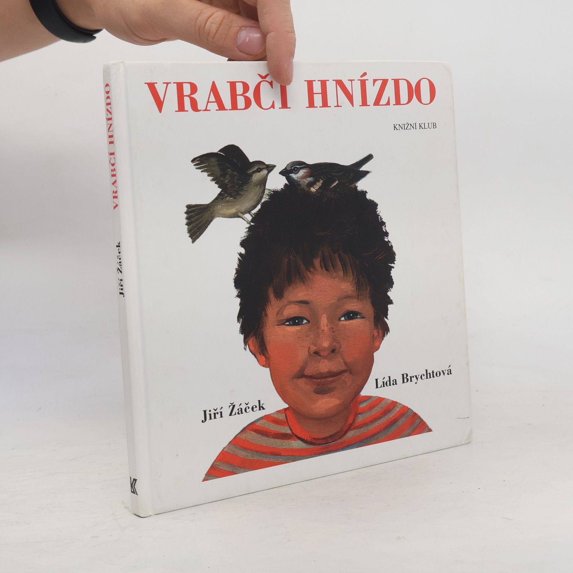Lída Brychtová Vrabčí hnízdo : básničky pro kluky a děvčata