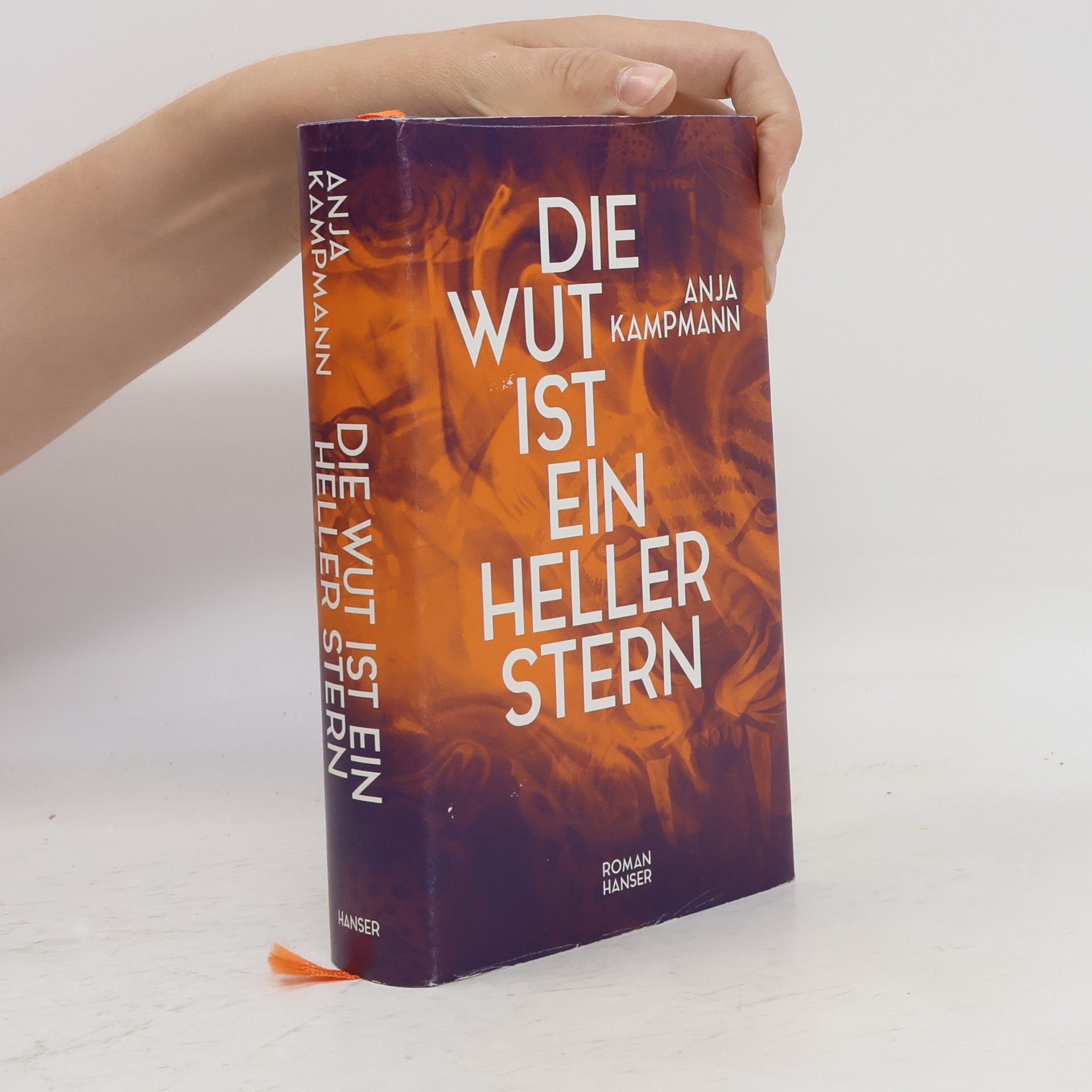 Anja Kampmann Die Wut ist ein heller Stern