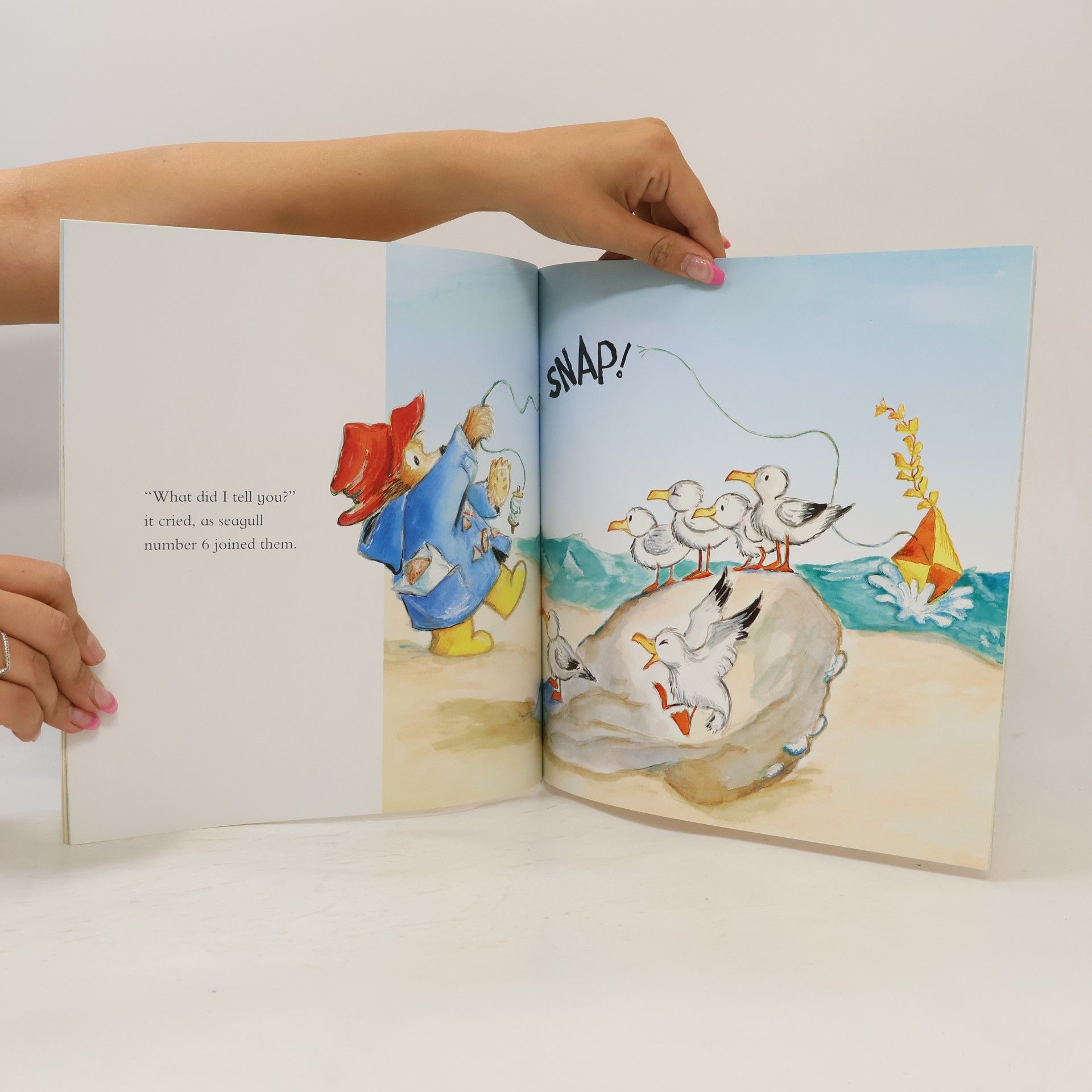 Michael Bond Paddington King of the Castle