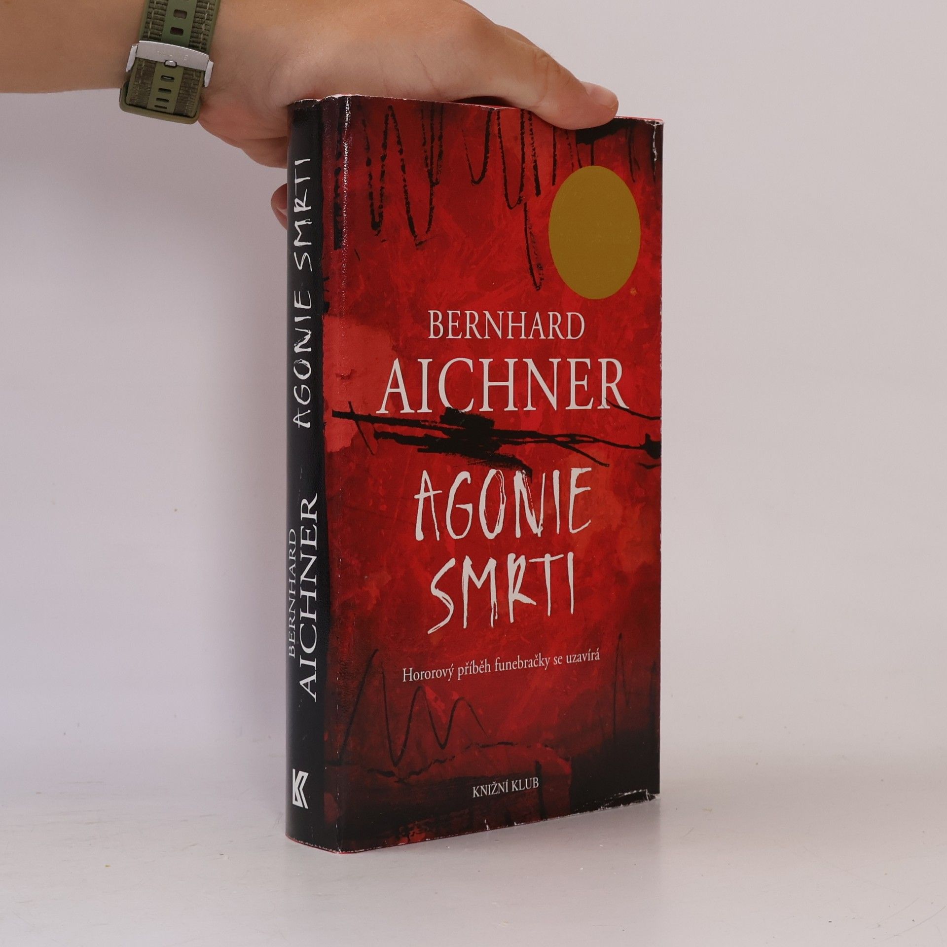 Bernhard Aichner Agonie smrti