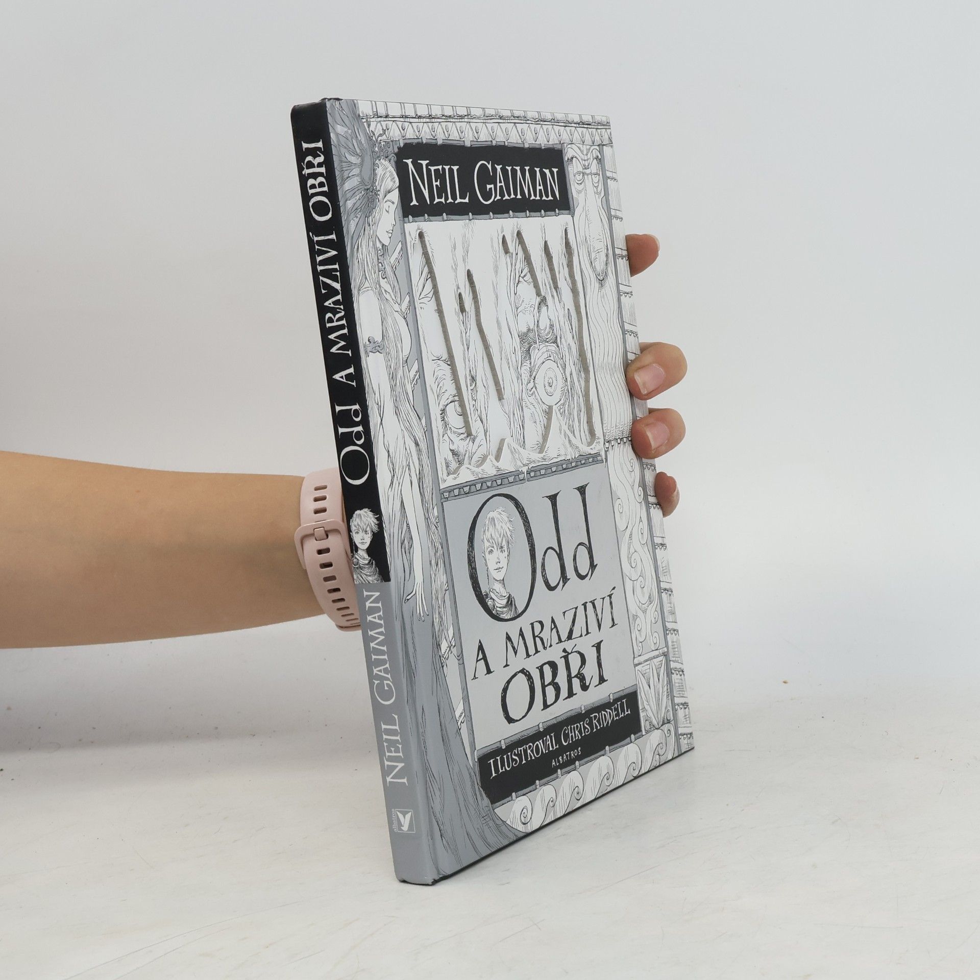 Neil Gaiman Odd a mraziví obři
