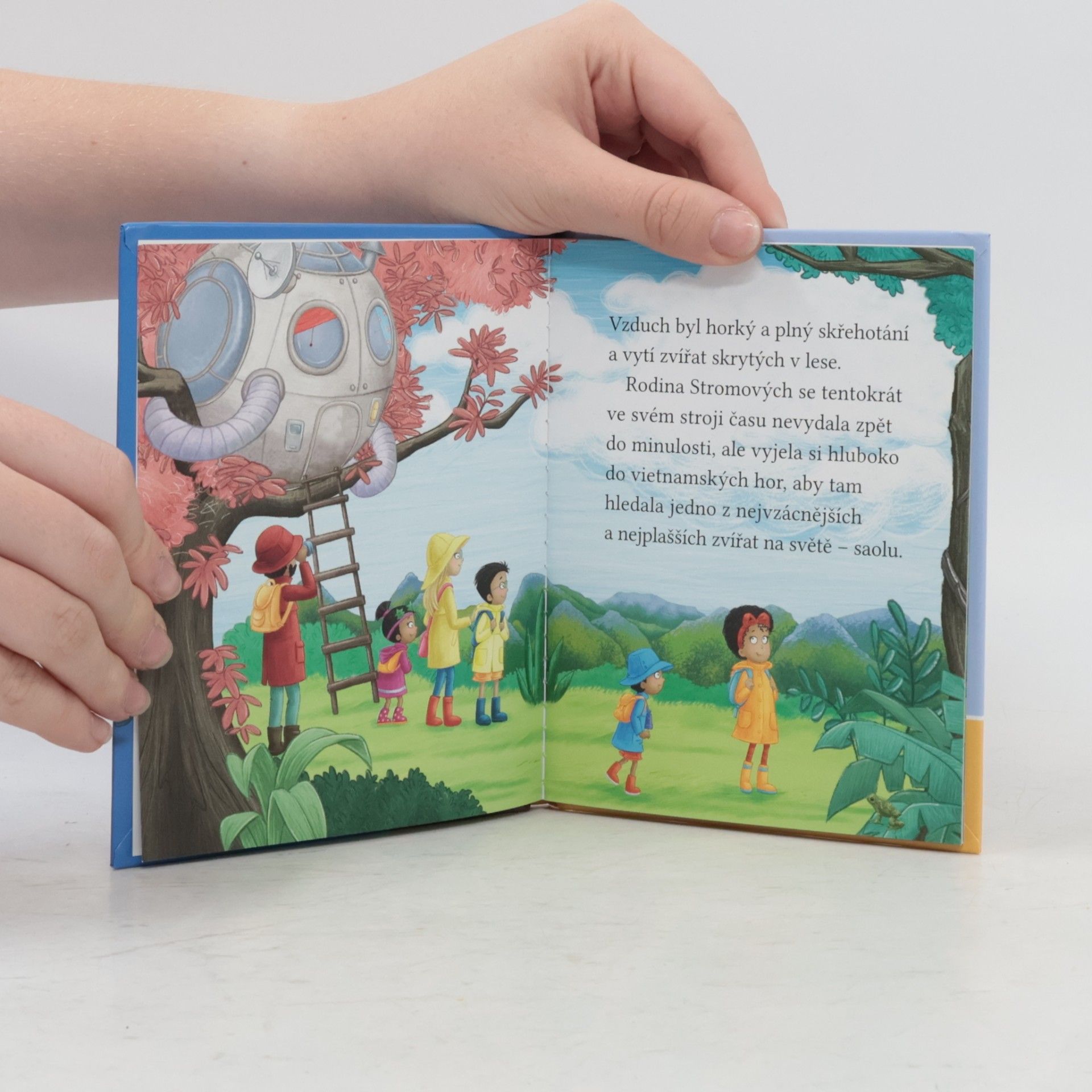Cressida Cowell Stromovic dvojčata a jejich dobrodružství v divočině. Dvojčata hledají saolu