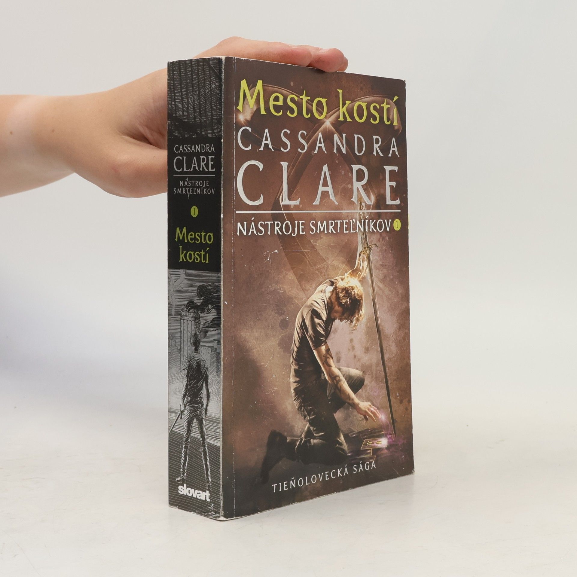 Cassandra Clare Mesto kostí