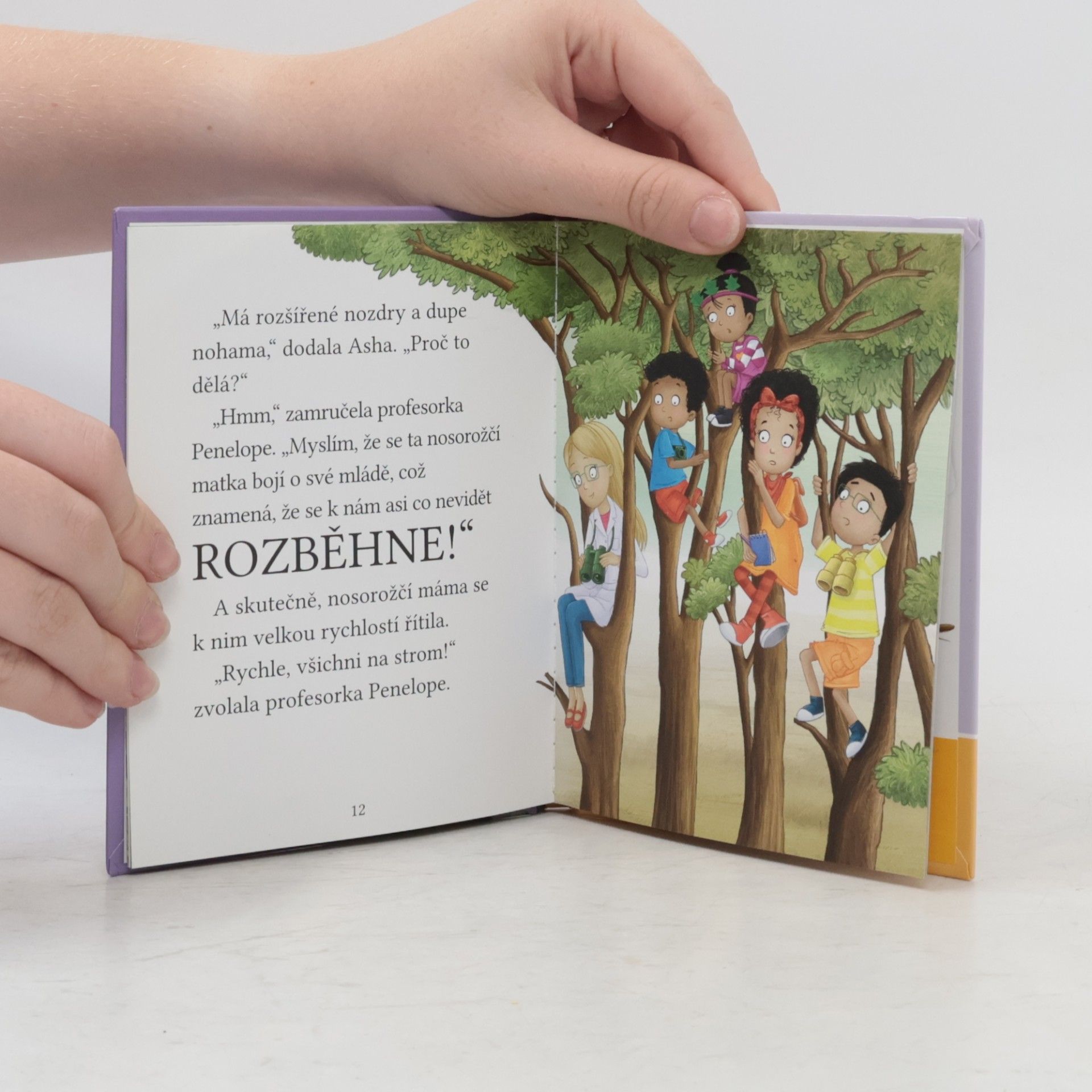 Cressida Cowell Dvojčata pronásledují nosorožce