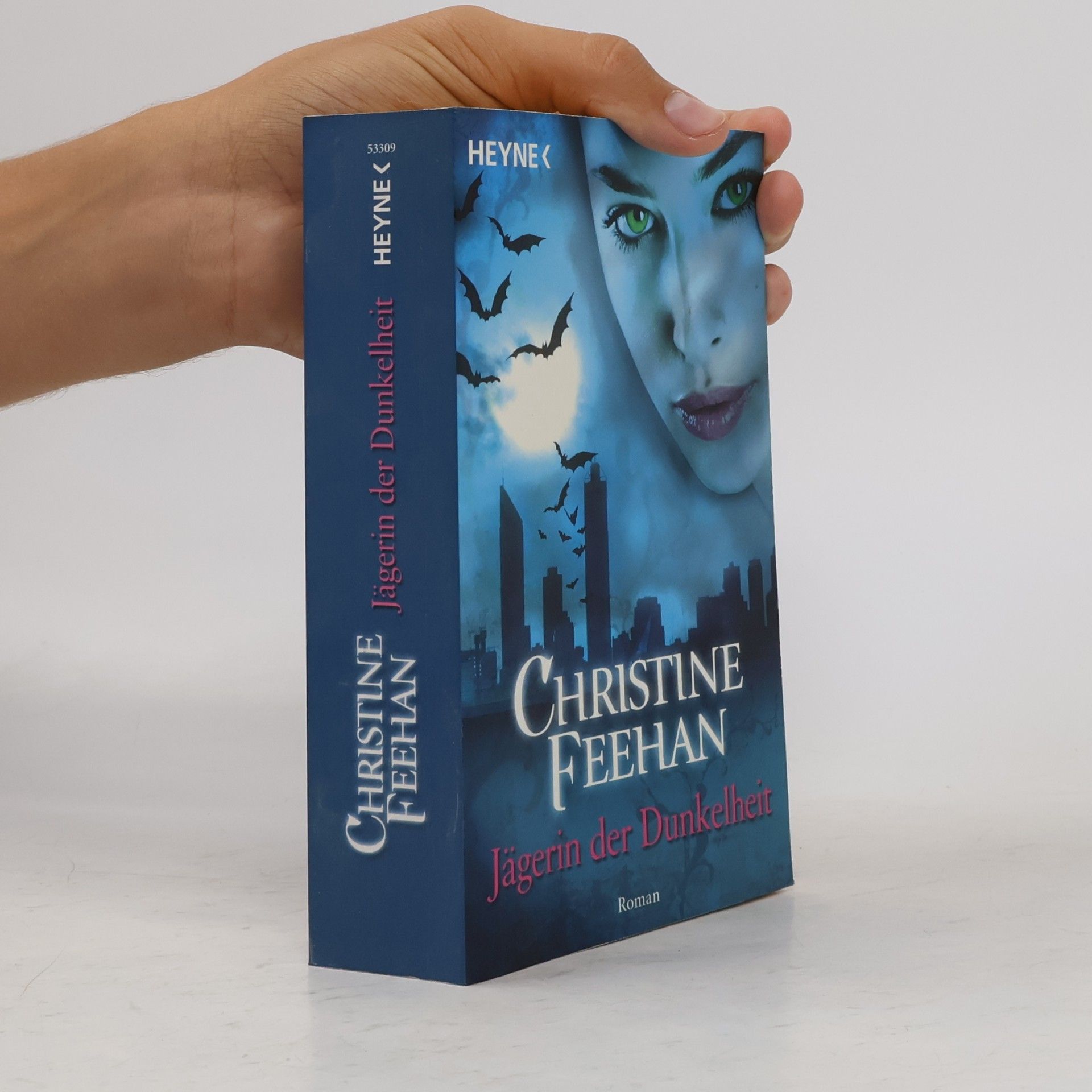 Christine Feehan Jägerin der Dunkelheit