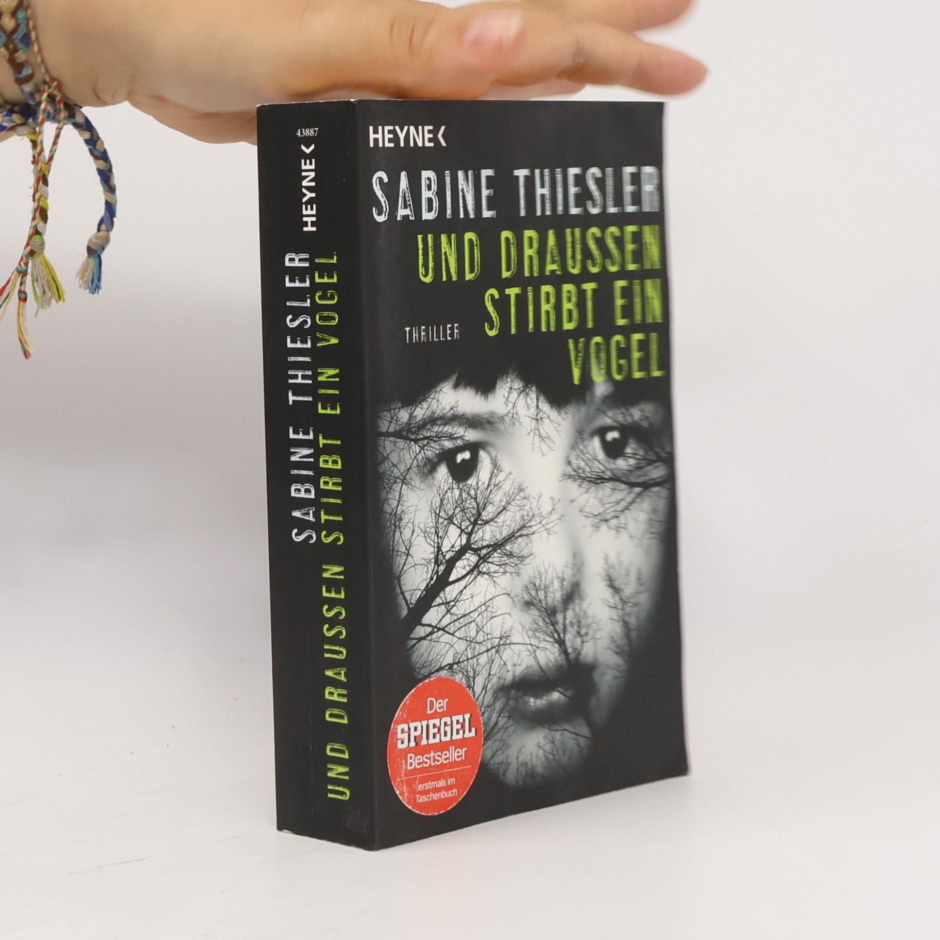 Sabine Thiesler Und draußen stirbt ein Vogel