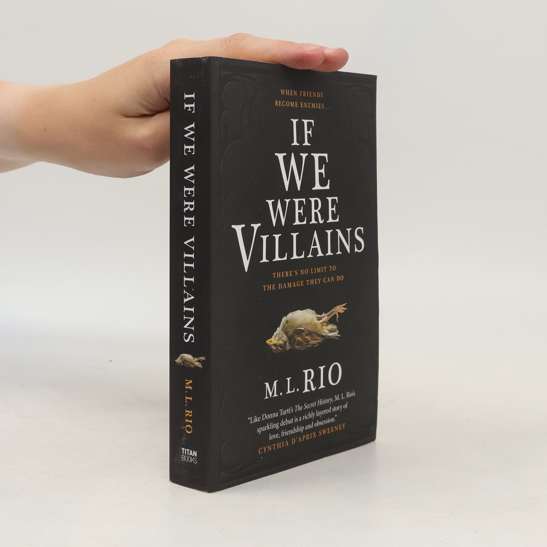M. L. Rio If We Were Villains