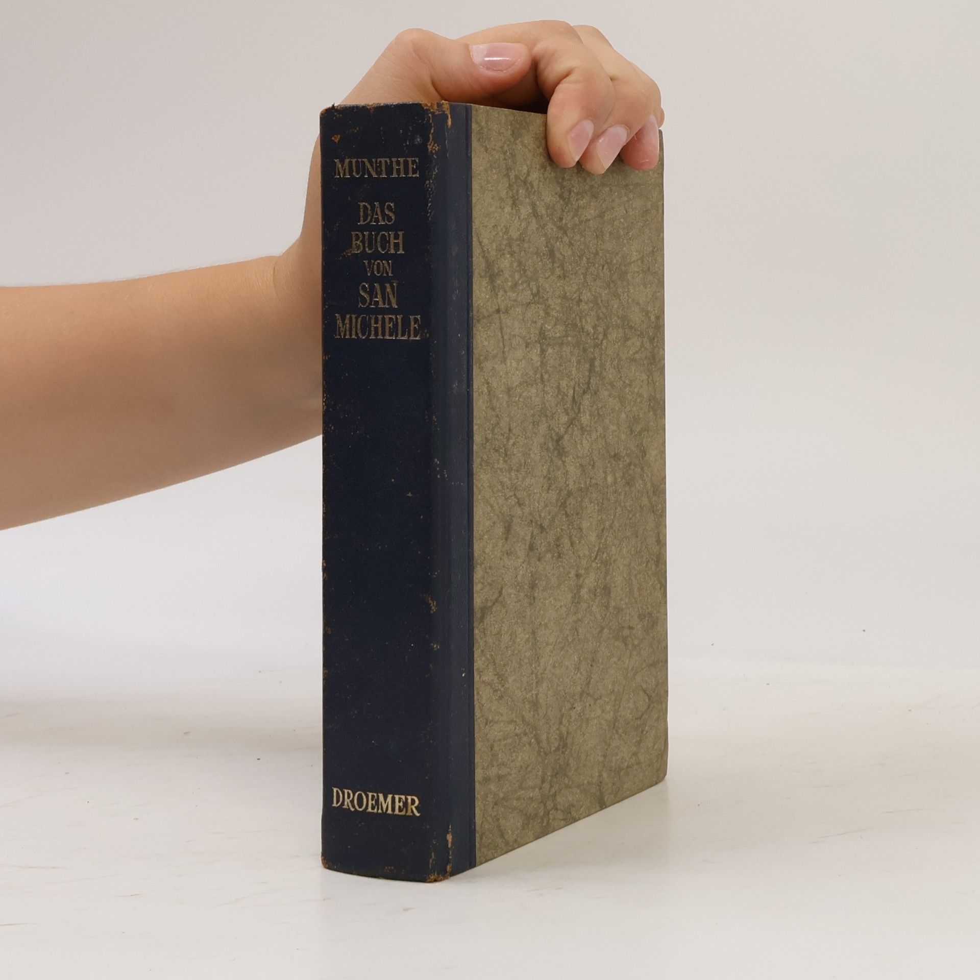Axel Munthe Das Buch von San Michele