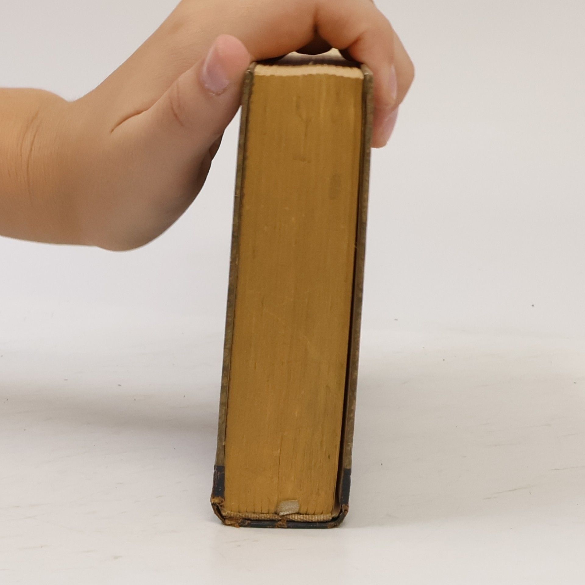 Axel Munthe Das Buch von San Michele