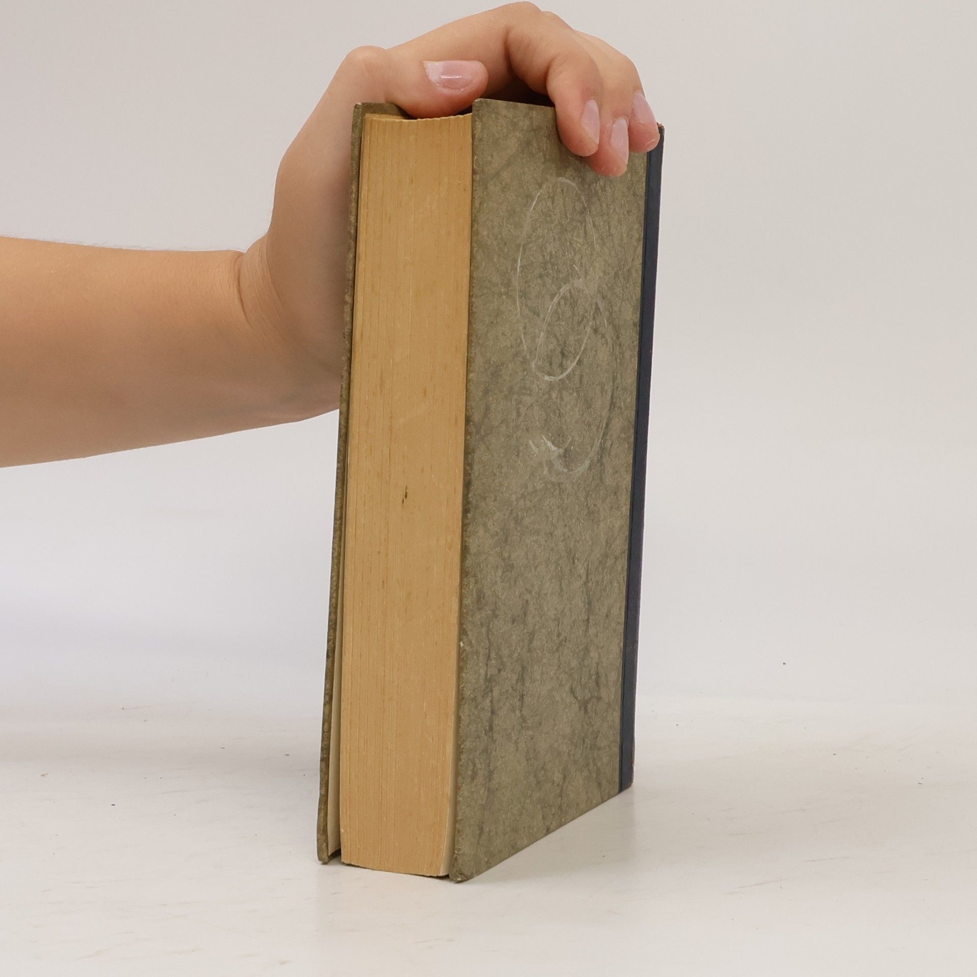 Axel Munthe Das Buch von San Michele